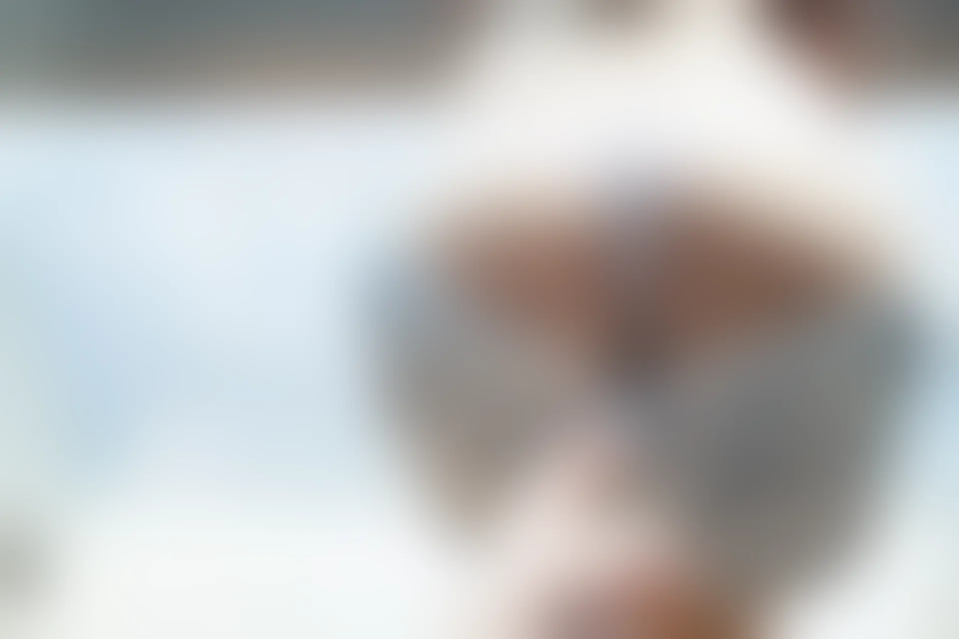 XiuRen秀人网 2014.01.14 No.085 不性感女人Annie [62P 136MB]