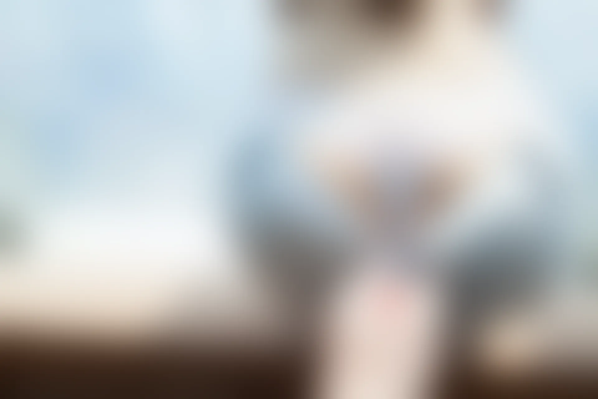 XiuRen秀人网 2014.01.14 No.085 不性感女人Annie [62P 136MB]