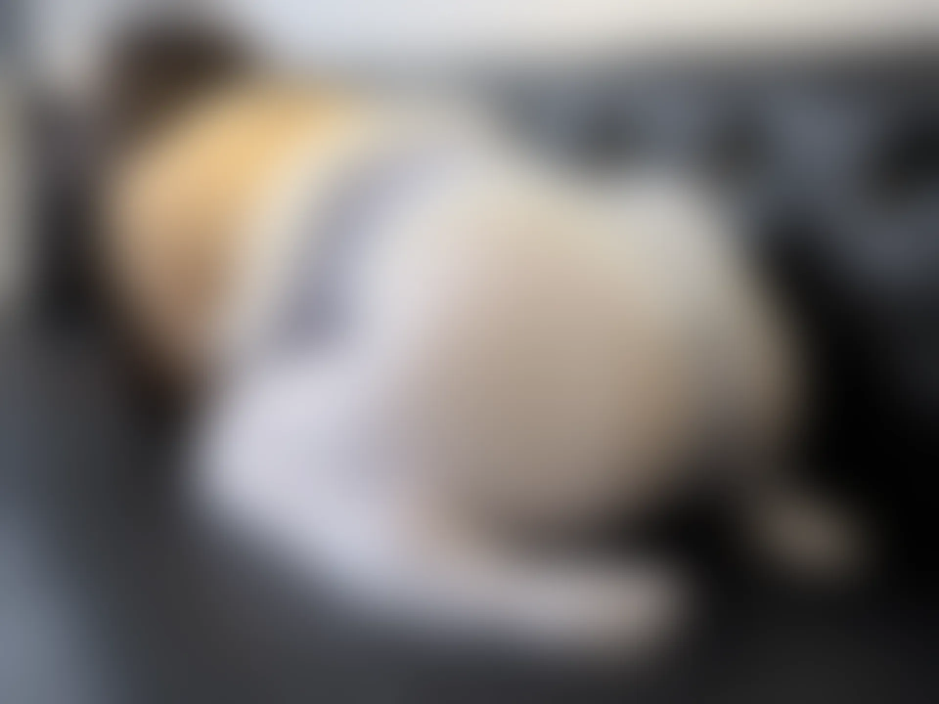 森萝财团 晴涩-02E 双马尾白丝猫耳连体衣 [96P1V-4.93GB]