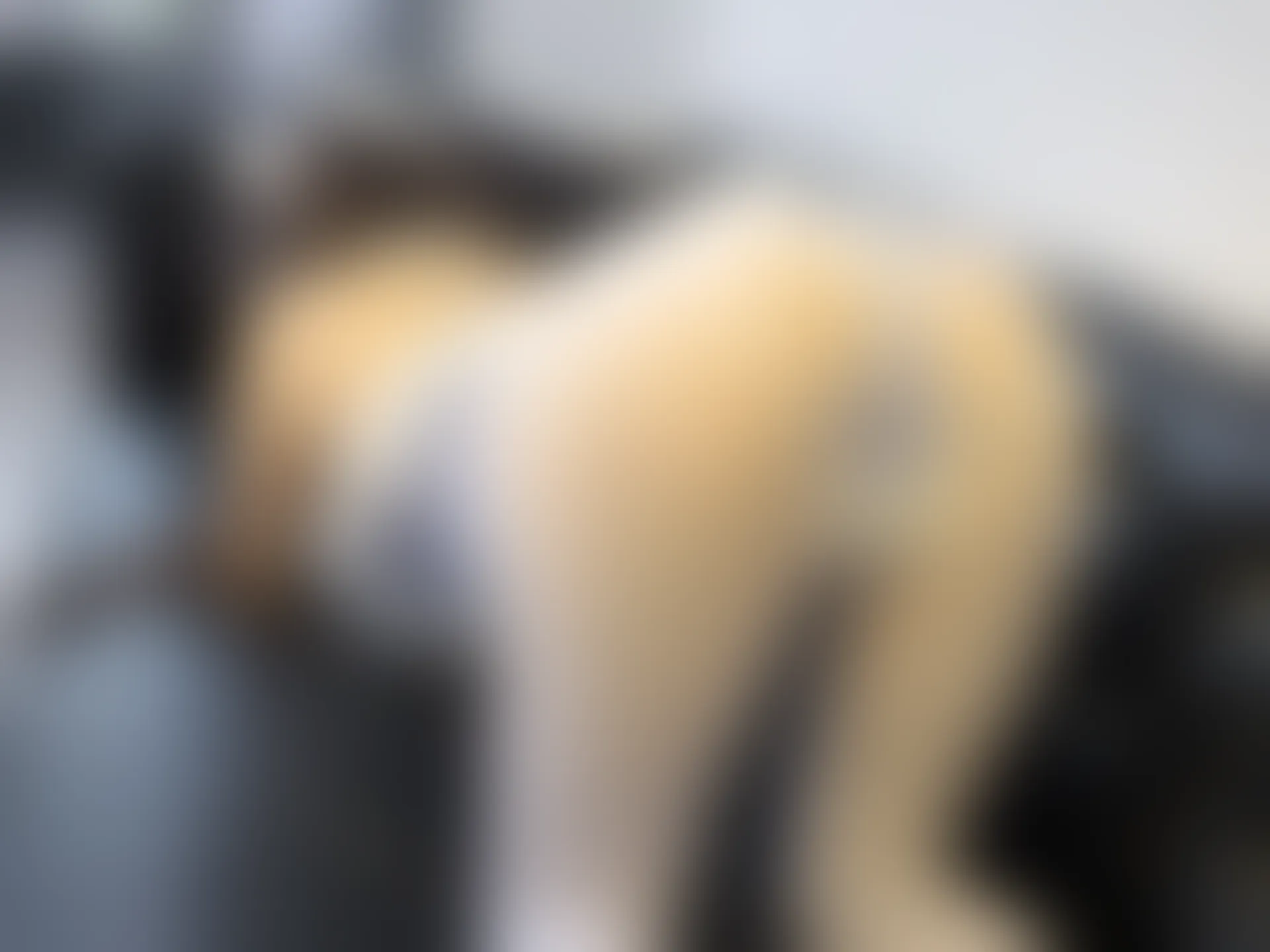 森萝财团 晴涩-02E 双马尾白丝猫耳连体衣 [96P1V-4.93GB]