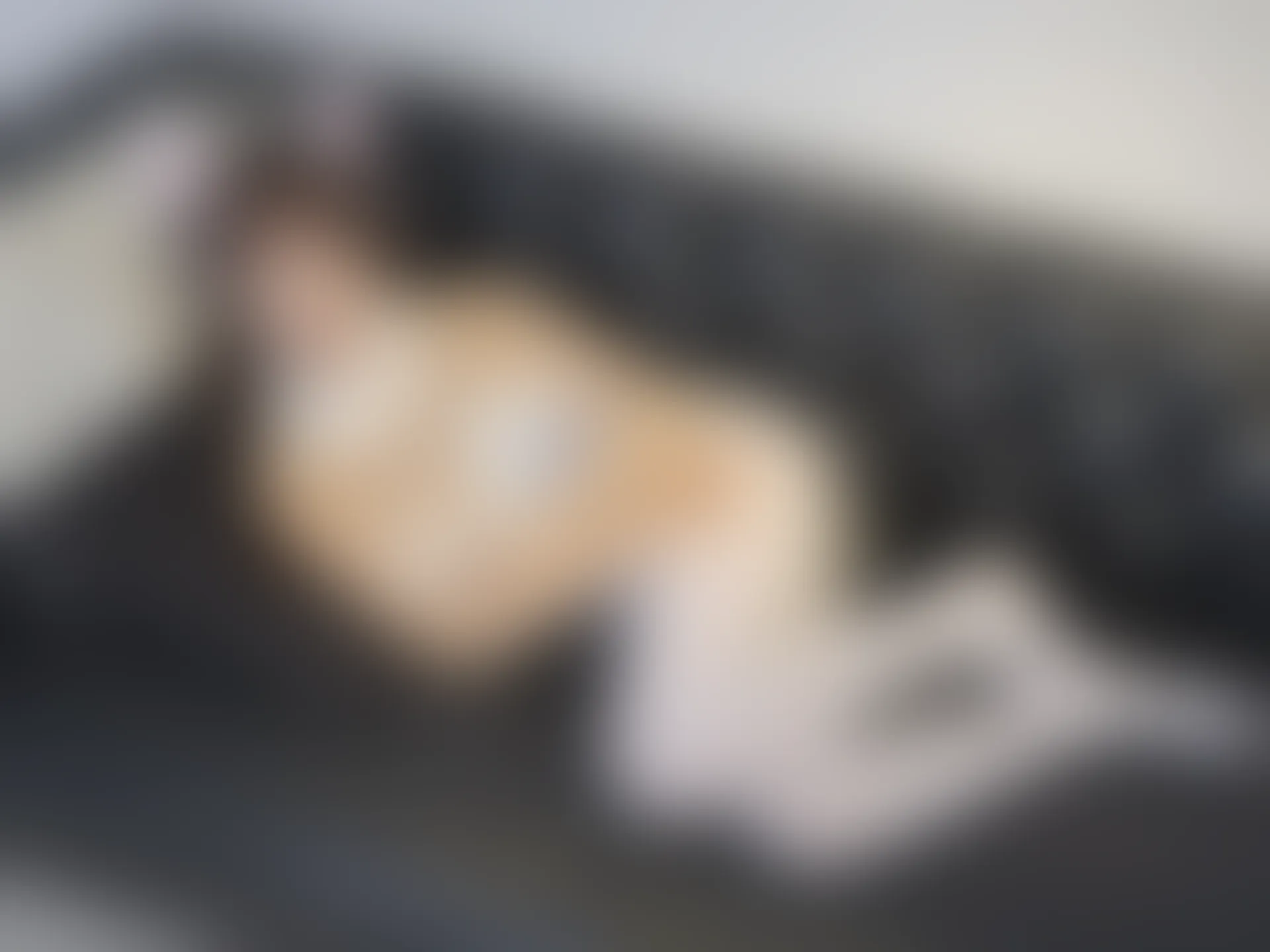 森萝财团 晴涩-02E 双马尾白丝猫耳连体衣 [96P1V-4.93GB]