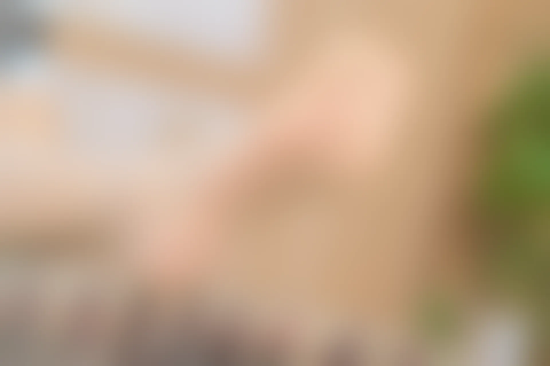 SSA丝社 超清写真 NO.187 雪梨 茶艺师洗茶肉丝穿搭示范[112P-1.95GB]