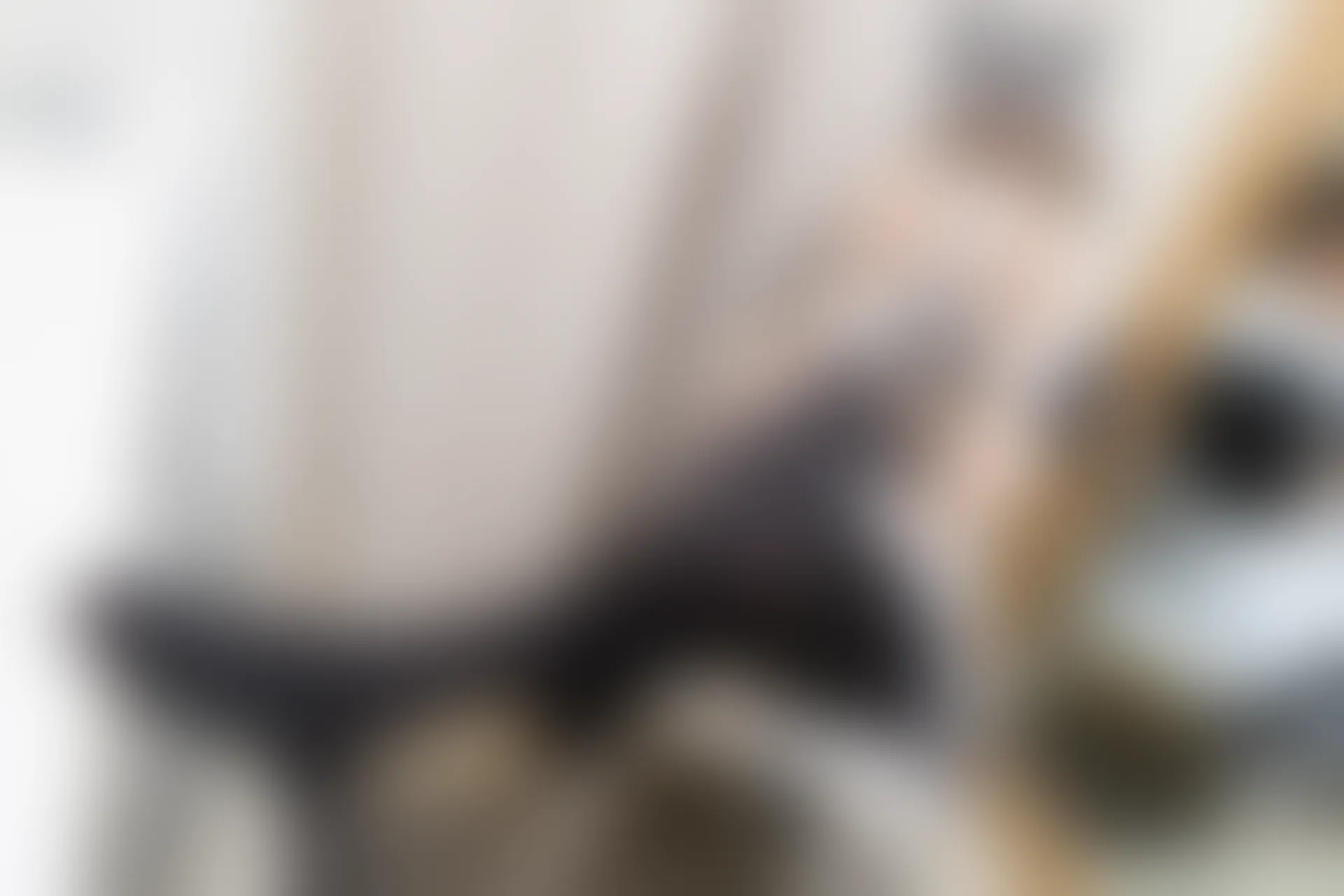 森萝财团 内部VIP系列 微风-05 黑丝高跟女仆装 [117P1V-3.5G]