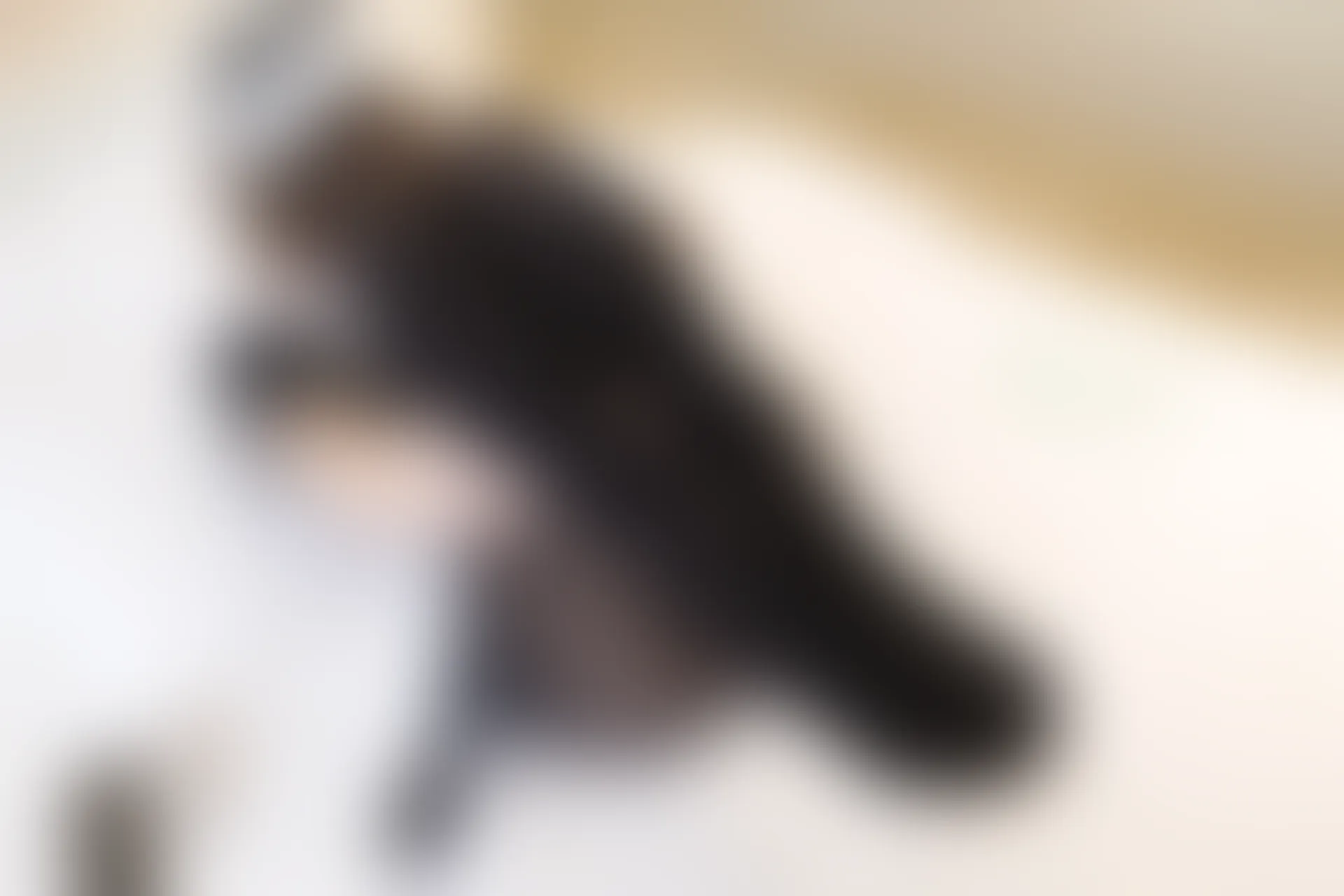 森萝财团 内部VIP系列 微风-05 黑丝高跟女仆装 [117P1V-3.5G]