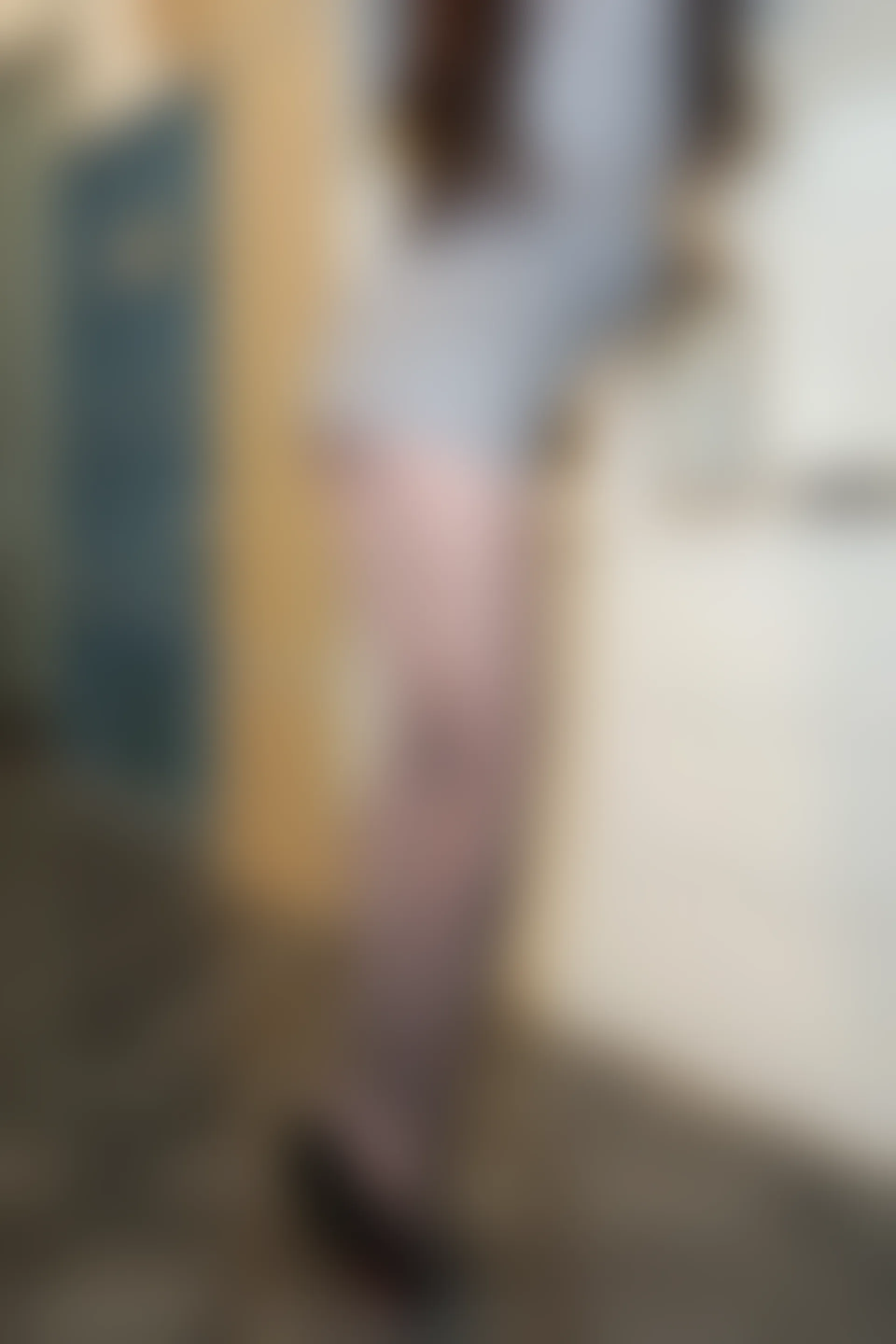 XIUREN秀人网 2024.01.09 NO.7932 小薯条nienie[95+1P／915MB]