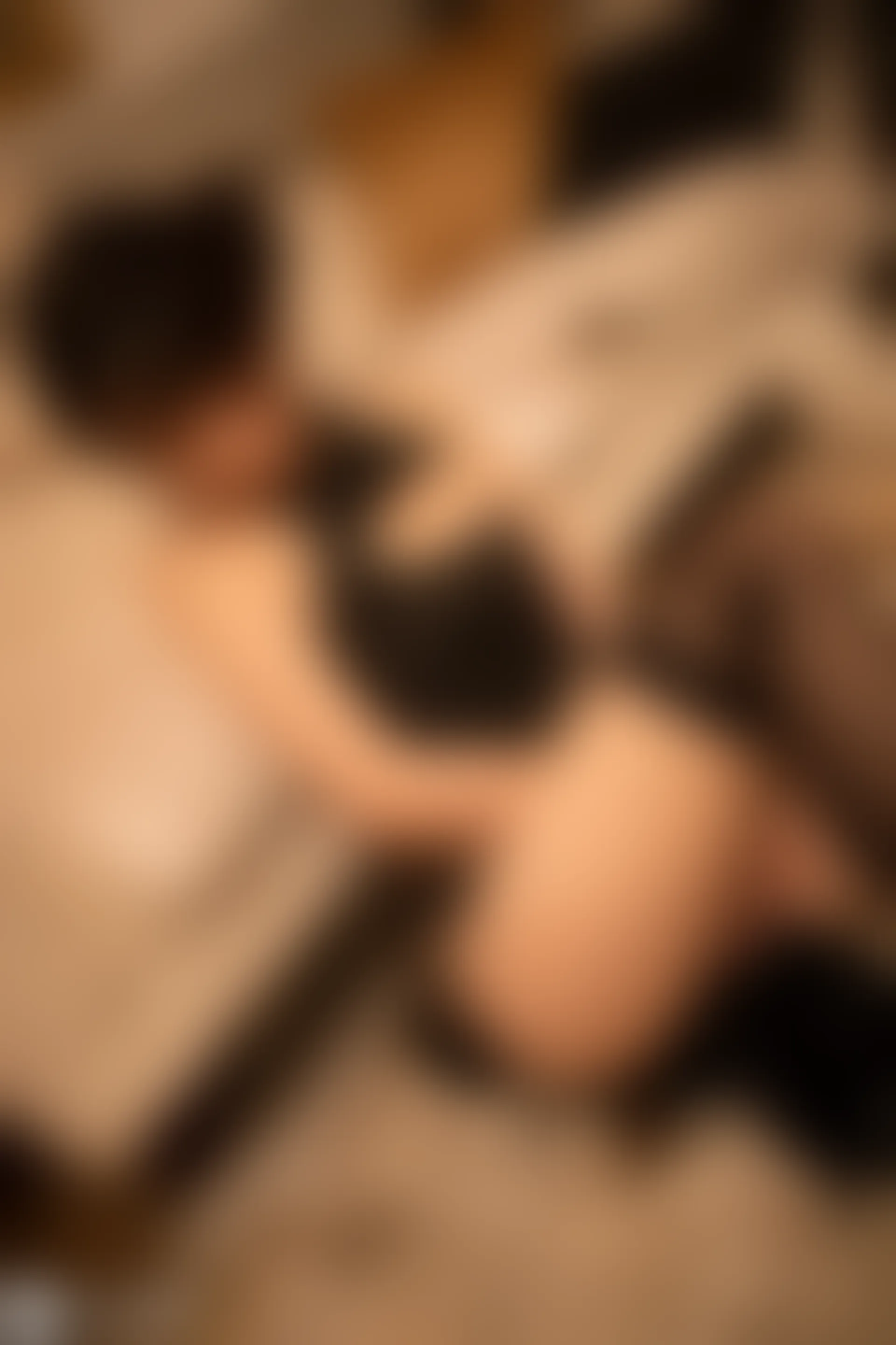 C44.005 透明女仆和黑色旗袍 [49P-704MB]