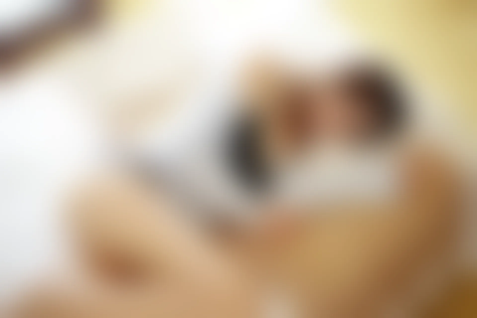 XiuRen秀人网 2013.09.28 No.020 Foxlag第二集