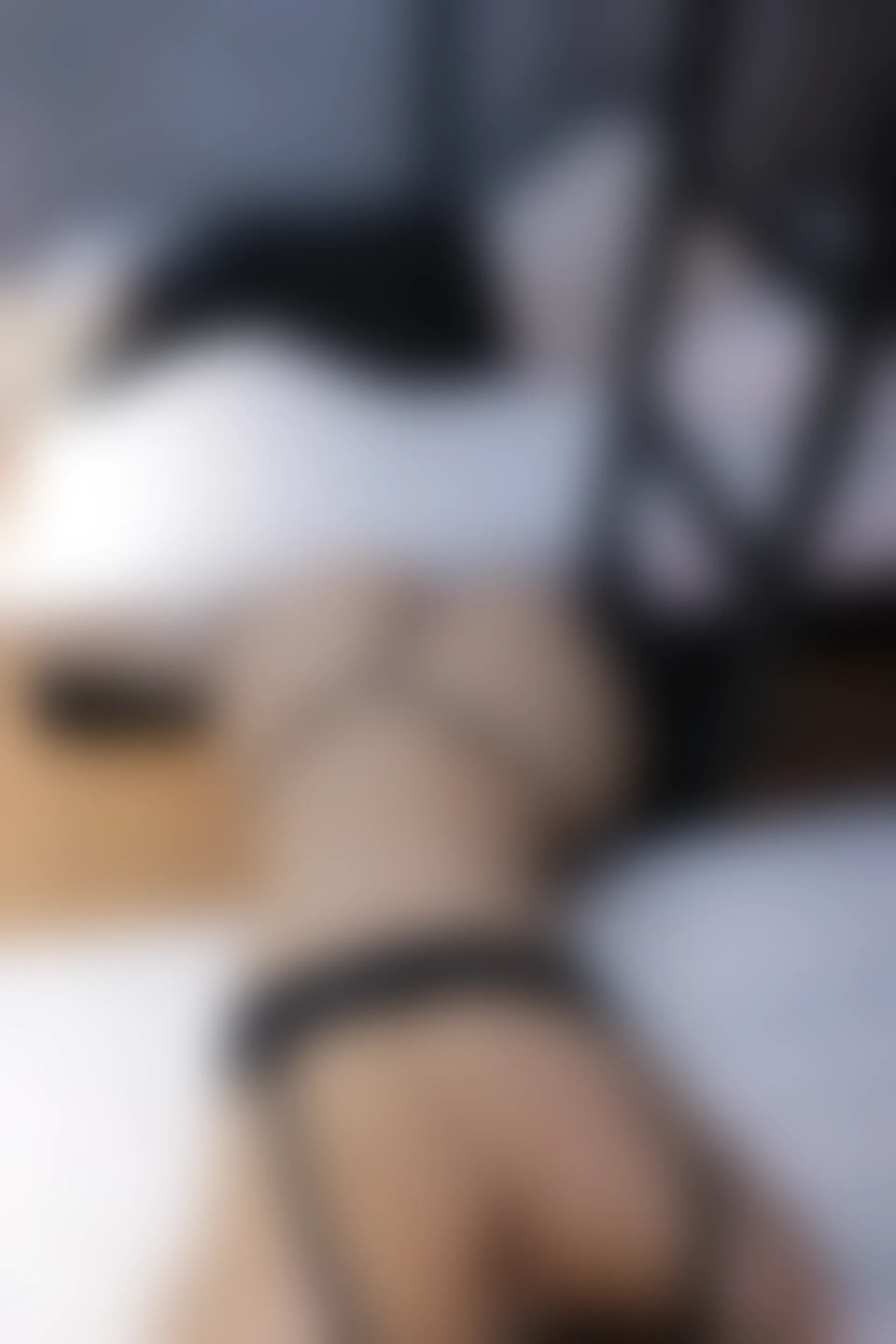 XIUREN秀人网 2023.12.01 NO.7751 韩系学妹[101+1P／874MB]