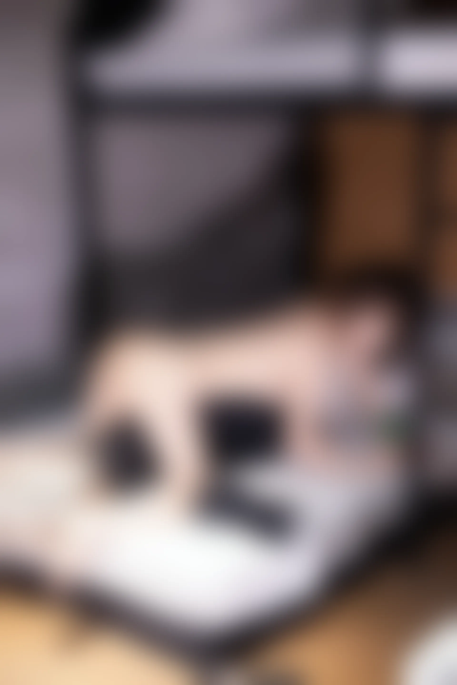 XIUREN秀人网 2023.12.01 NO.7751 韩系学妹[101+1P／874MB]