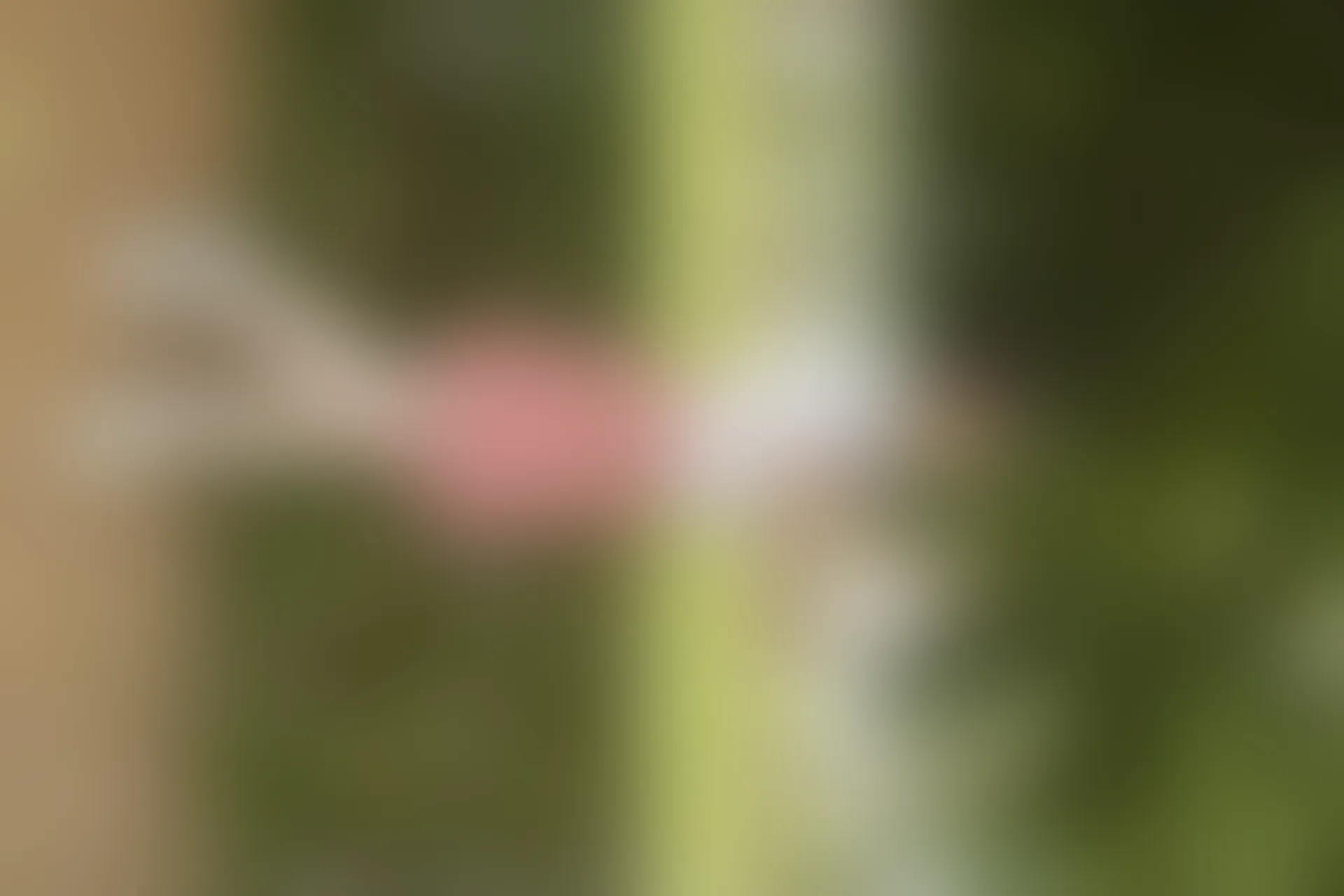 初夏女神 NO.091 双双 大红JK套[130P+1V／4.98GB]