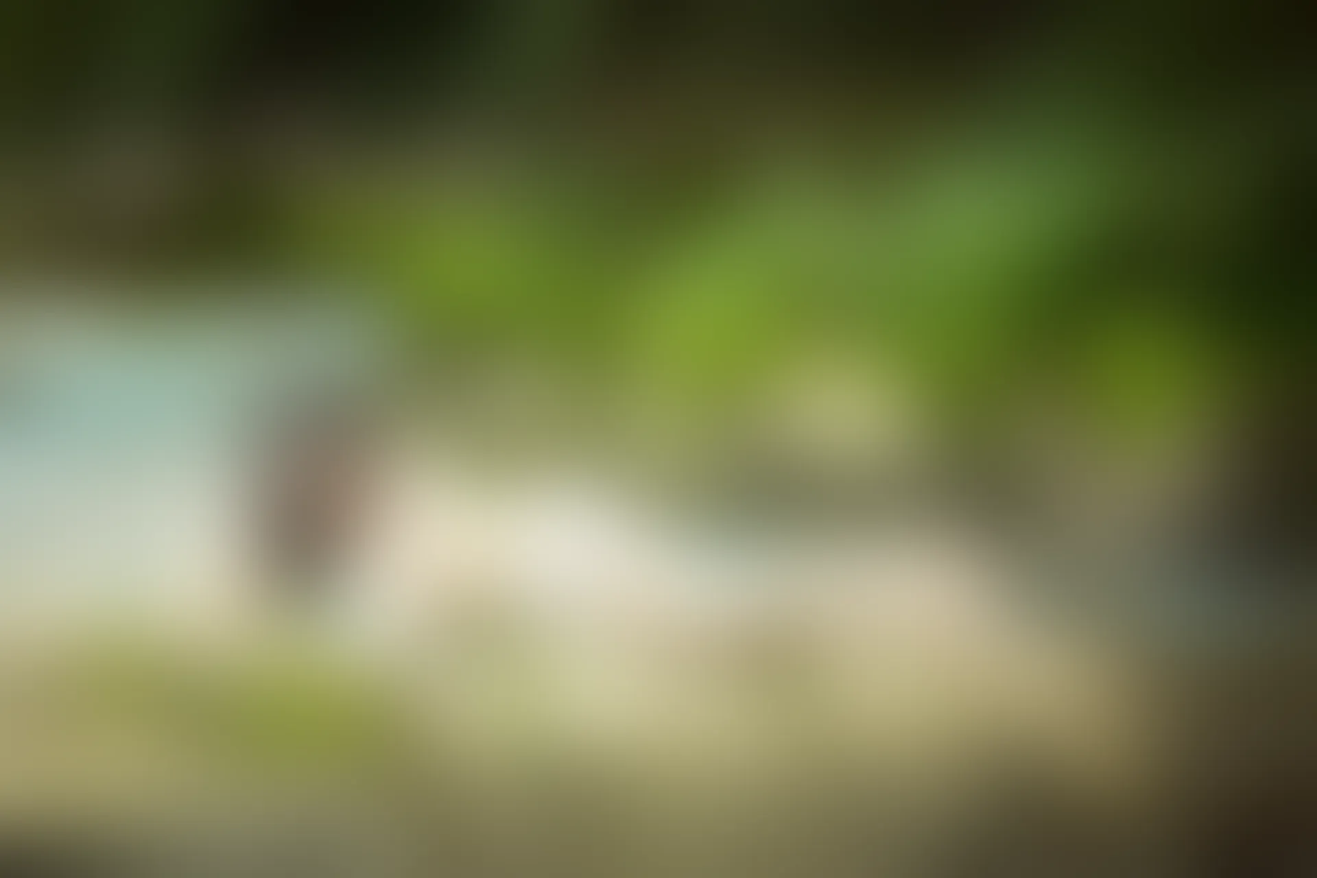 XiuRen秀人网 2015.07.17 No.355 鱼猫盾i[54+1P289M]
