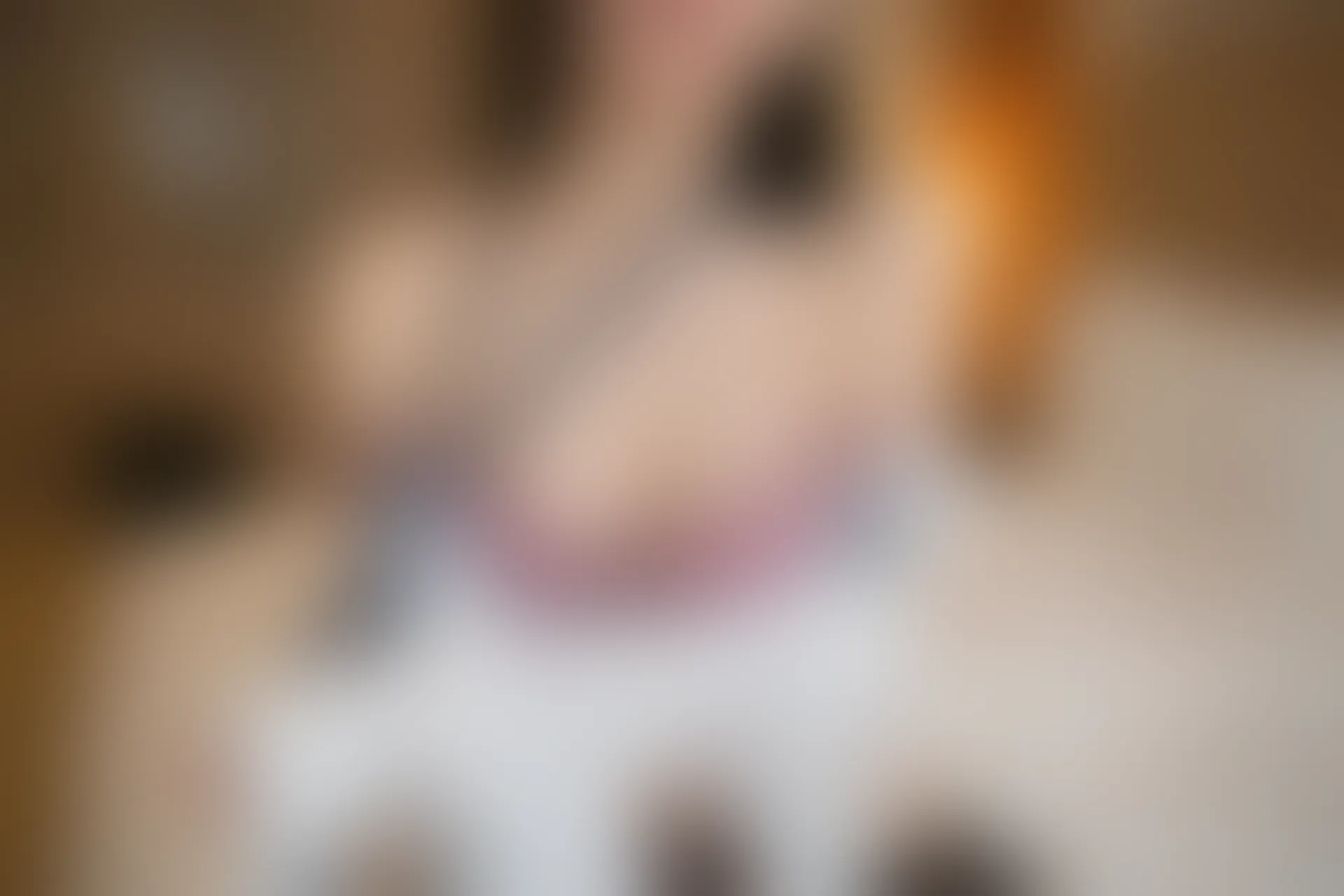 XiuRen秀人网 2021.12.21 No.4364 一颗甜蛋黄a 性感黑丝[79+1P 740MB]