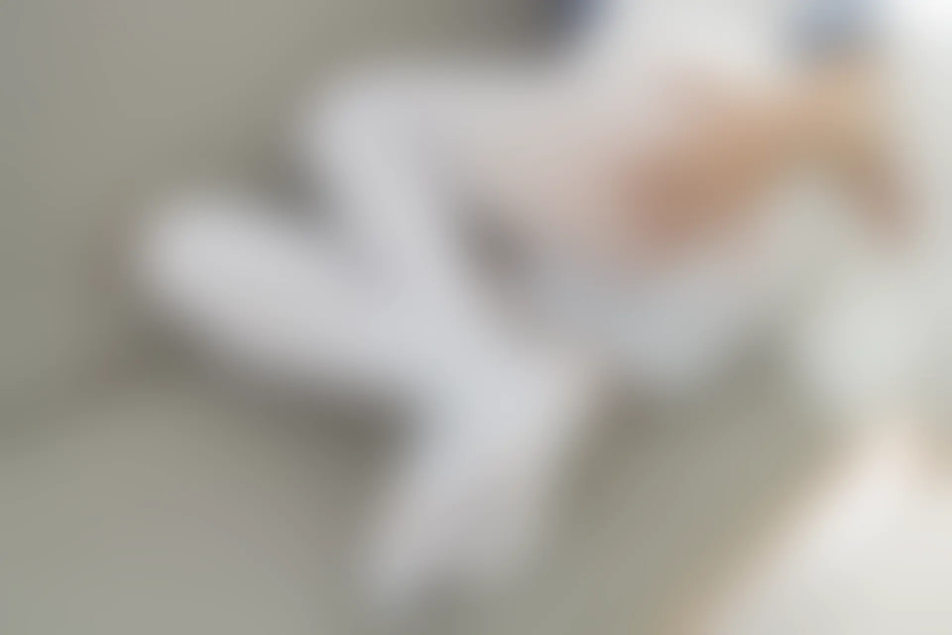 森萝财团 内部-002 白丝双马尾 [122P-1.68GB]