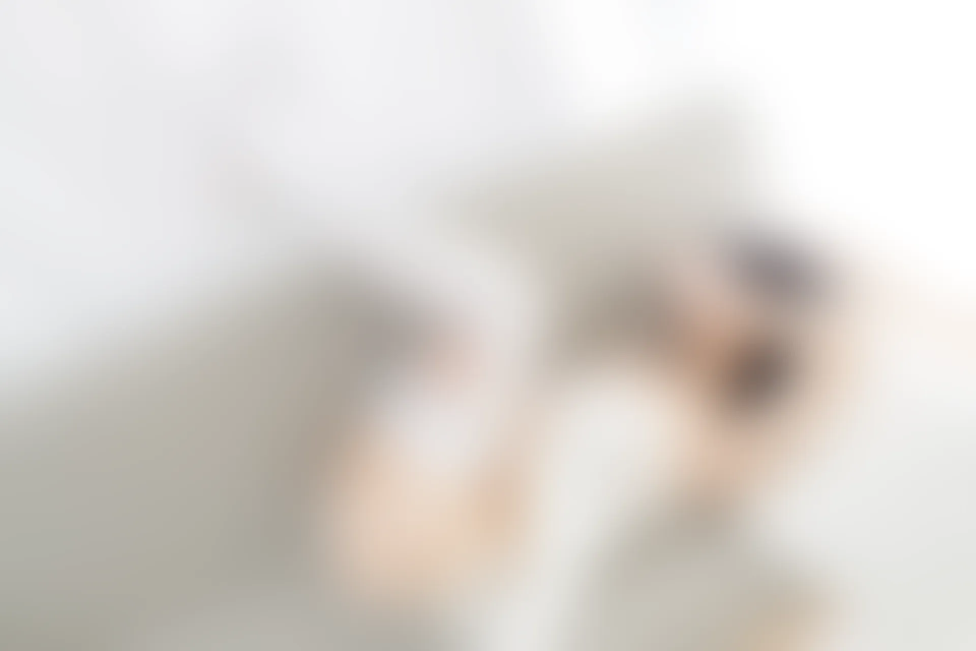 森萝财团 内部-002 白丝双马尾 [122P-1.68GB]