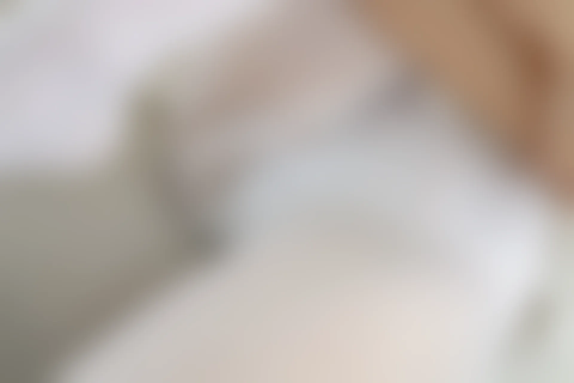 森萝财团 内部-002 白丝双马尾 [122P-1.68GB]