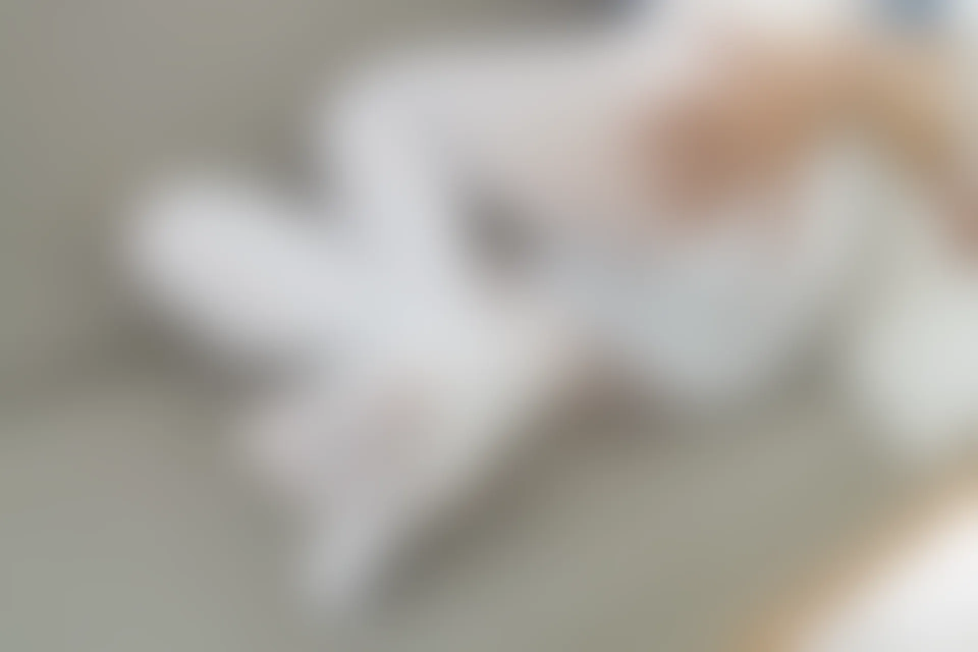 森萝财团 内部-002 白丝双马尾 [122P-1.68GB]