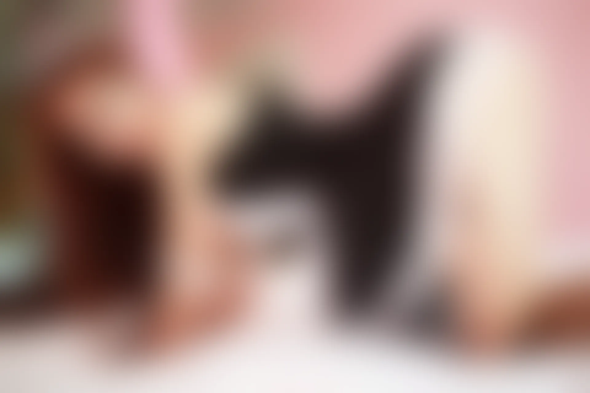 XiuRen秀人网 2013.09.22 No.014 邻家少女羽住
