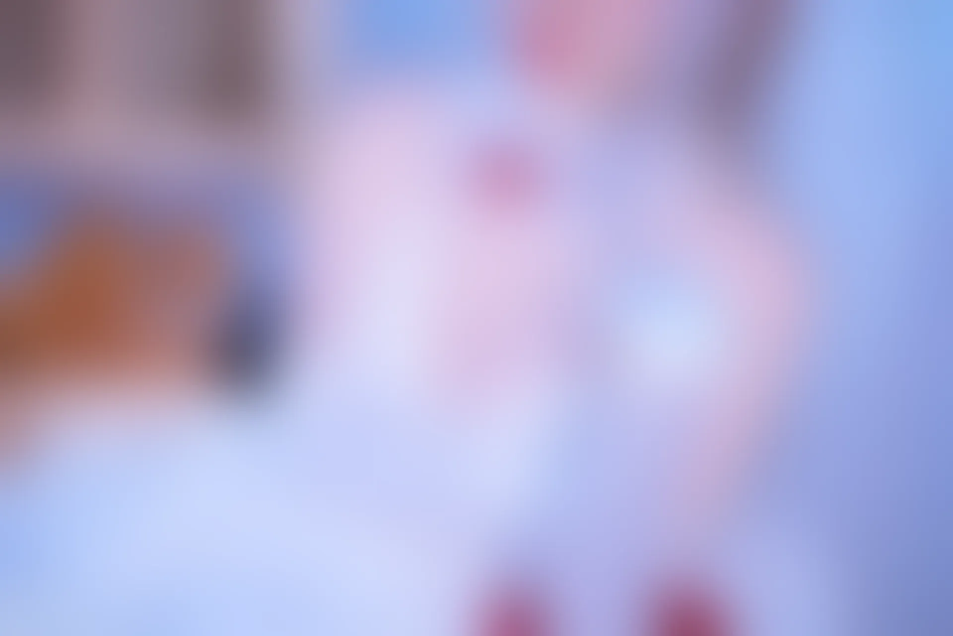 C29.008 超华丽花嫁系列 [40P-234MB]