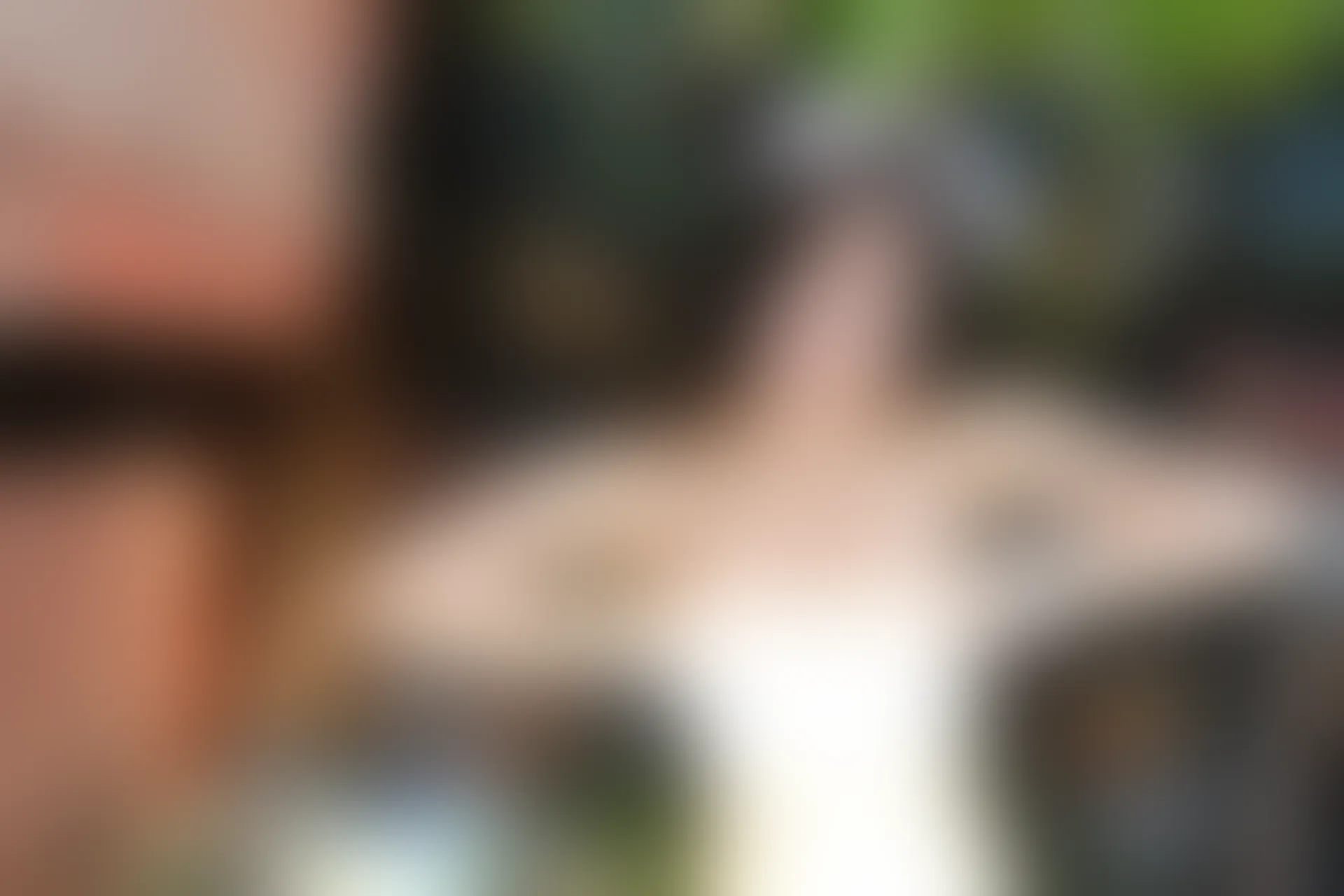 XiuRen秀人网 2015.02.11 No.296 绮里嘉ula [67P351MB]
