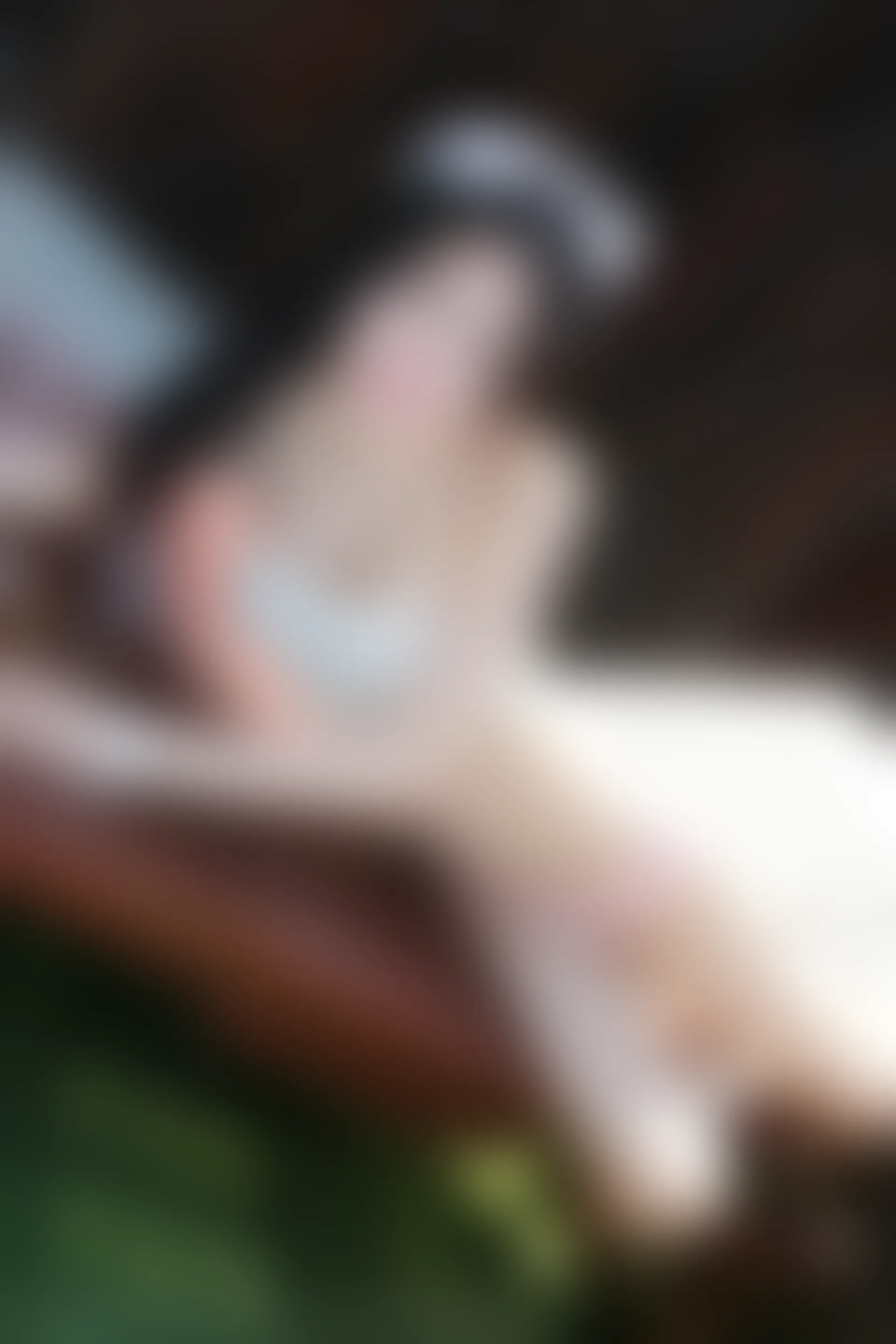 XiuRen秀人网 2015.02.11 No.296 绮里嘉ula [67P351MB]