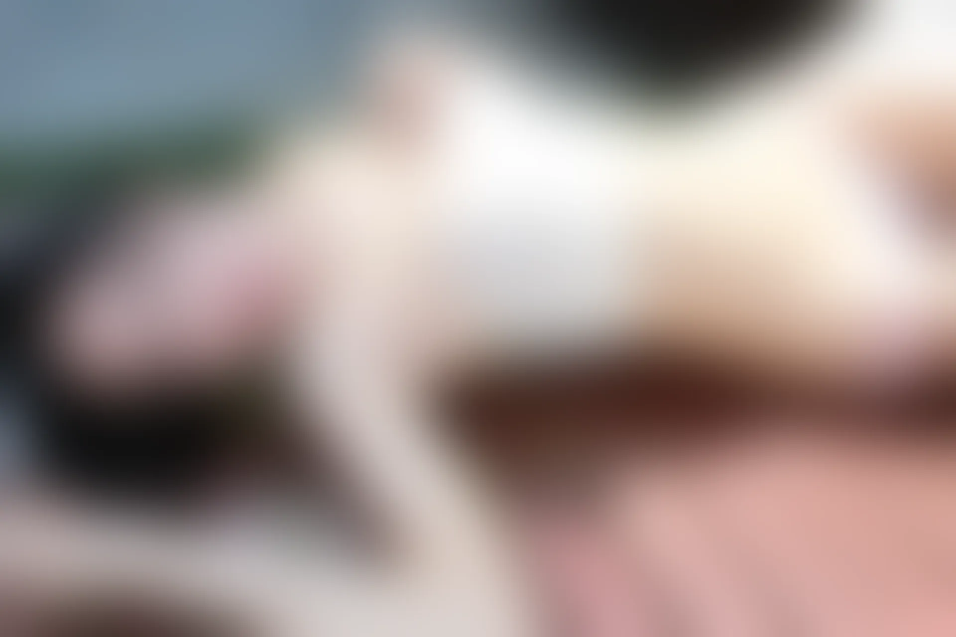 XiuRen秀人网 2015.02.11 No.296 绮里嘉ula [67P351MB]