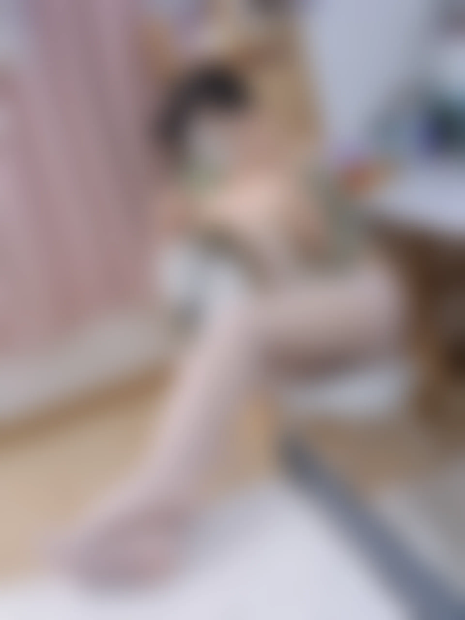 森萝财团 月下-08E 小夜 白丝汉服 [74P1V-5.58GB]