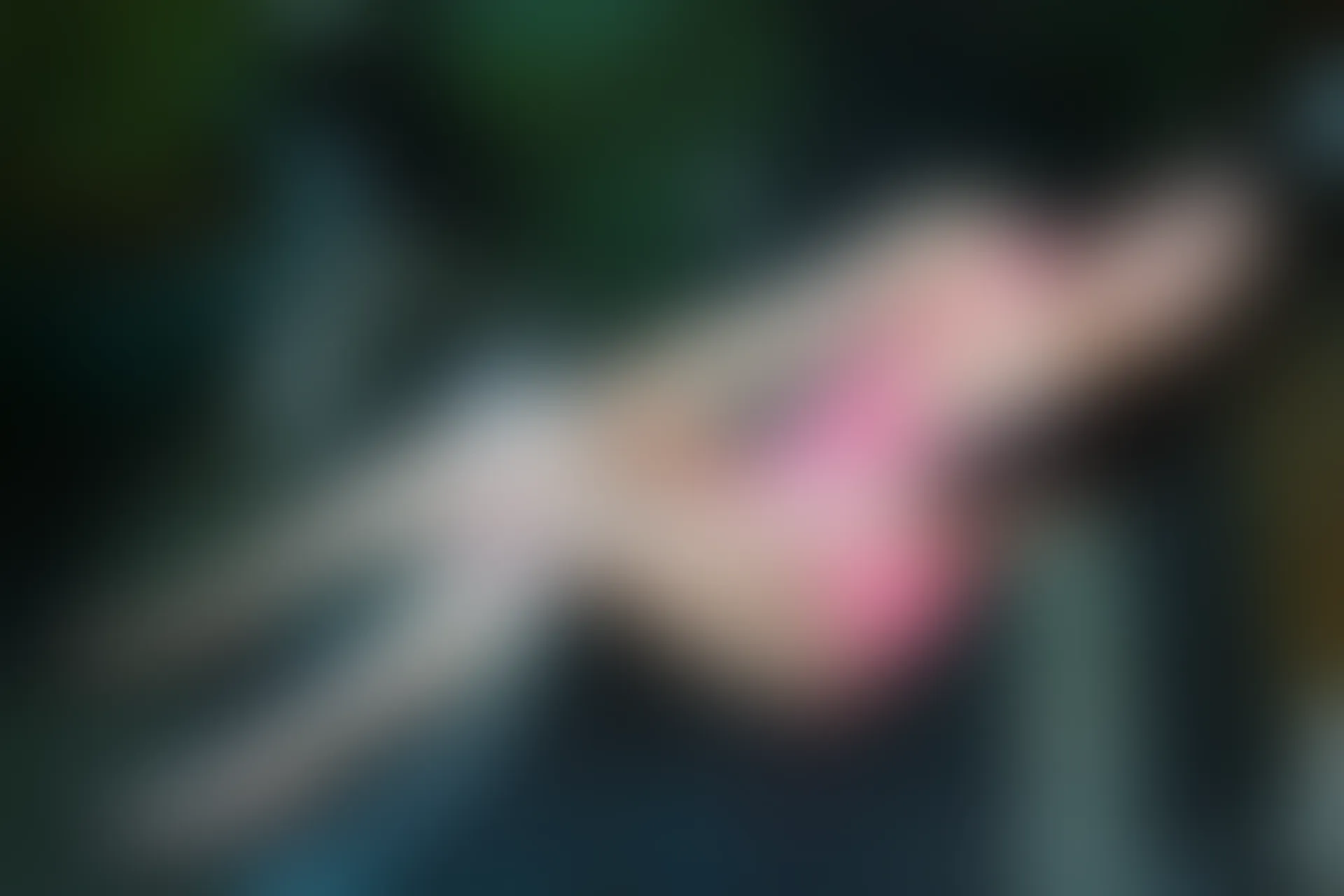 XiuRen秀人网 2013.09.24 No.017 MOON嘉依