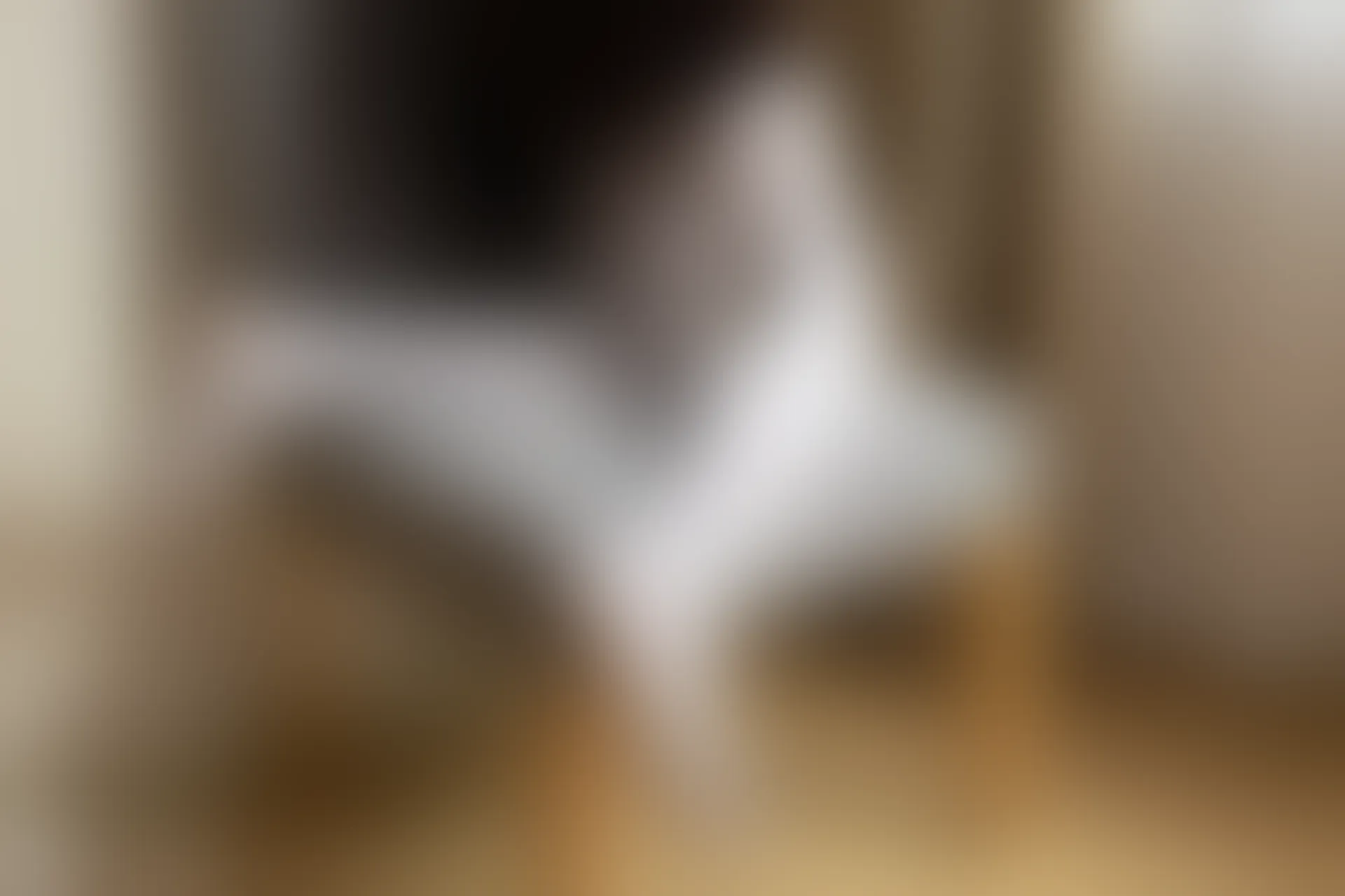 C41.001 白丝和制服裙 [40P-85MB]