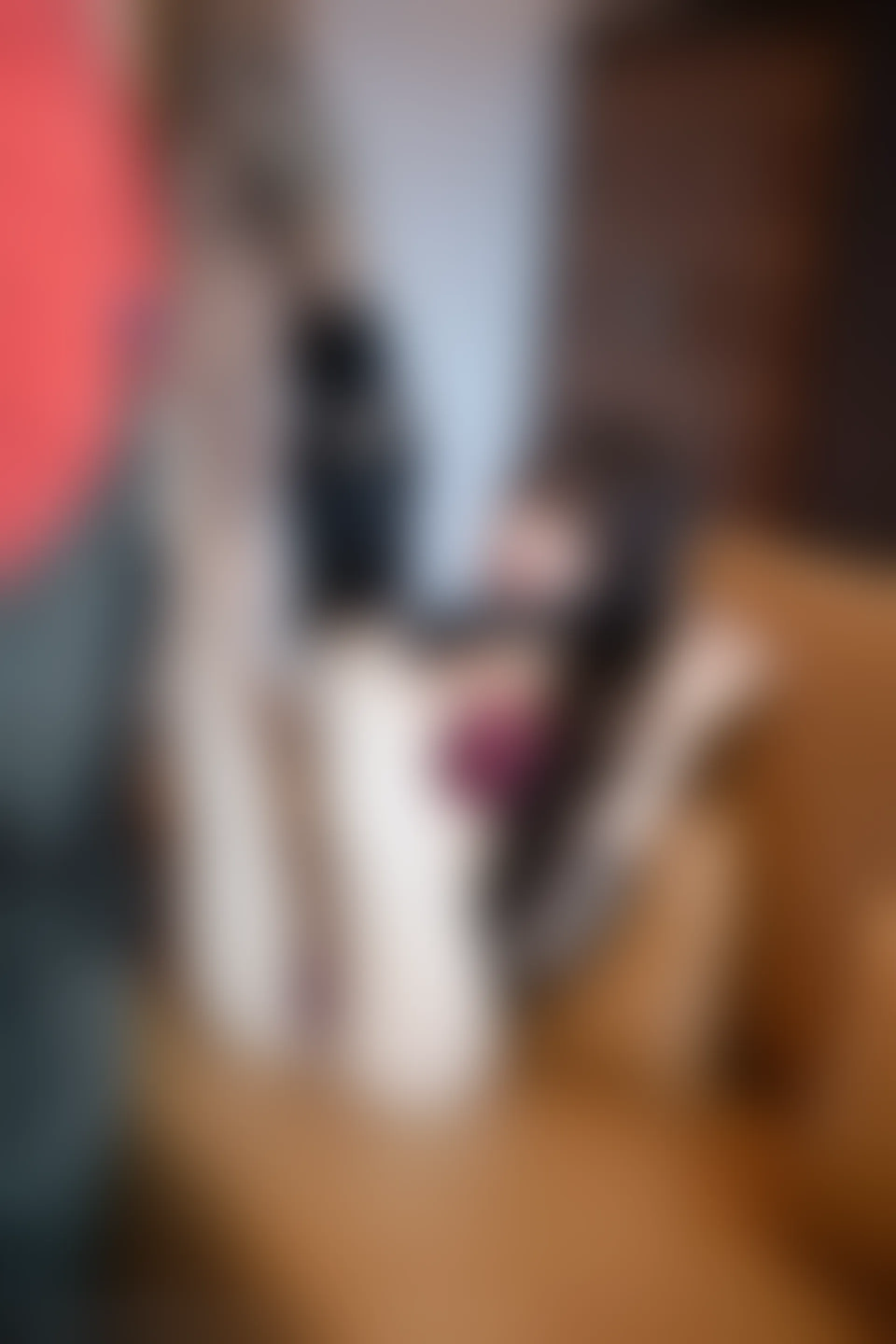 XiuRen秀人网 2022.01.13 No.4462 芝芝Booty 黑丝美腿[92+1P 791MB]