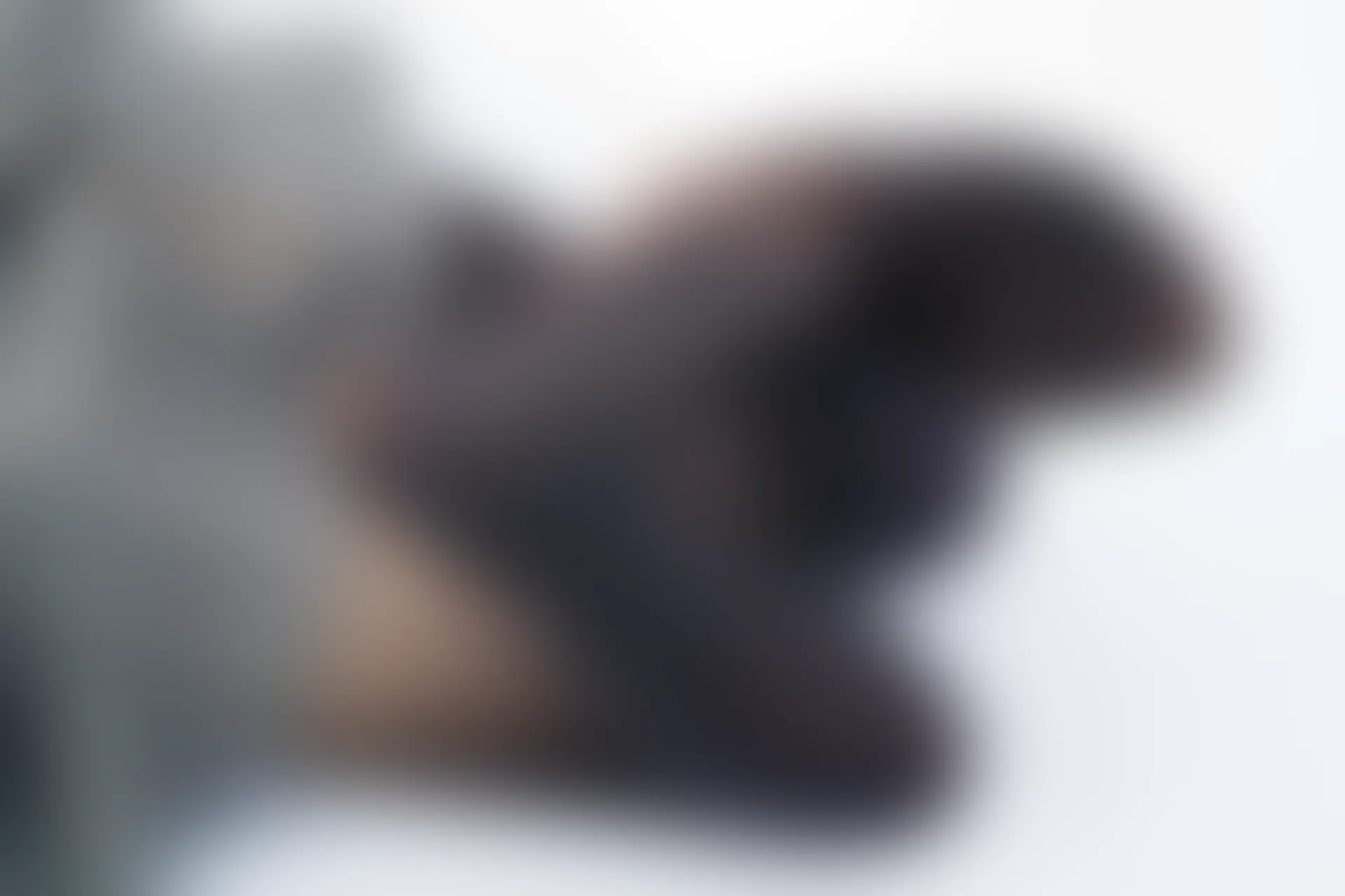 森萝财团 R15-031 [95P-508M]学生装, 森萝财团, 美腿, 黑丝