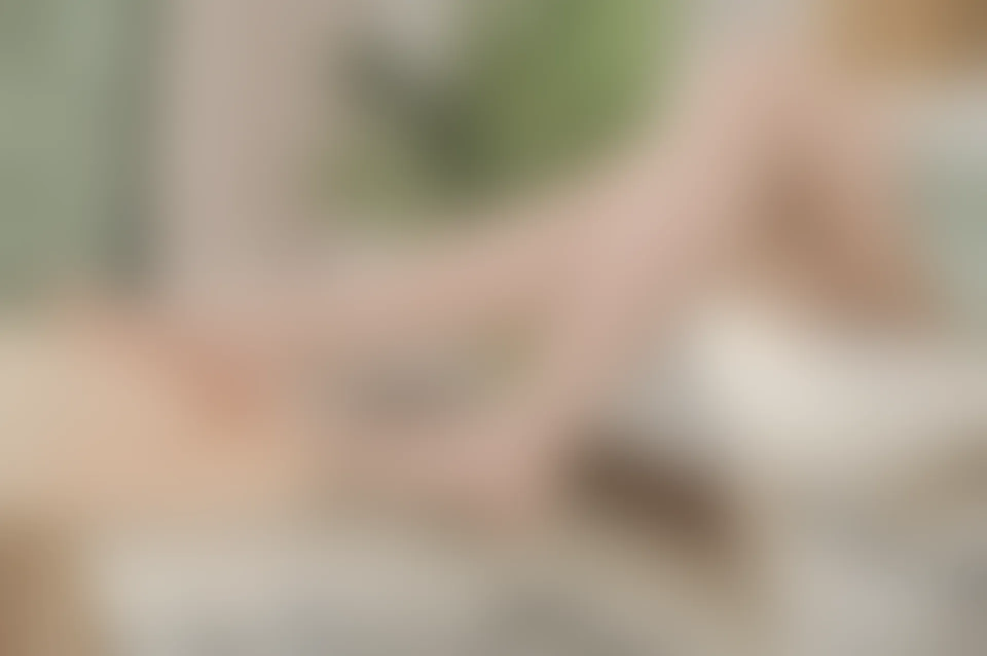 SSA丝社 超清写真 NO.106 丽萍 颠覆你的审美 五指丝袜，送花絮视频[176P-2.01GB]