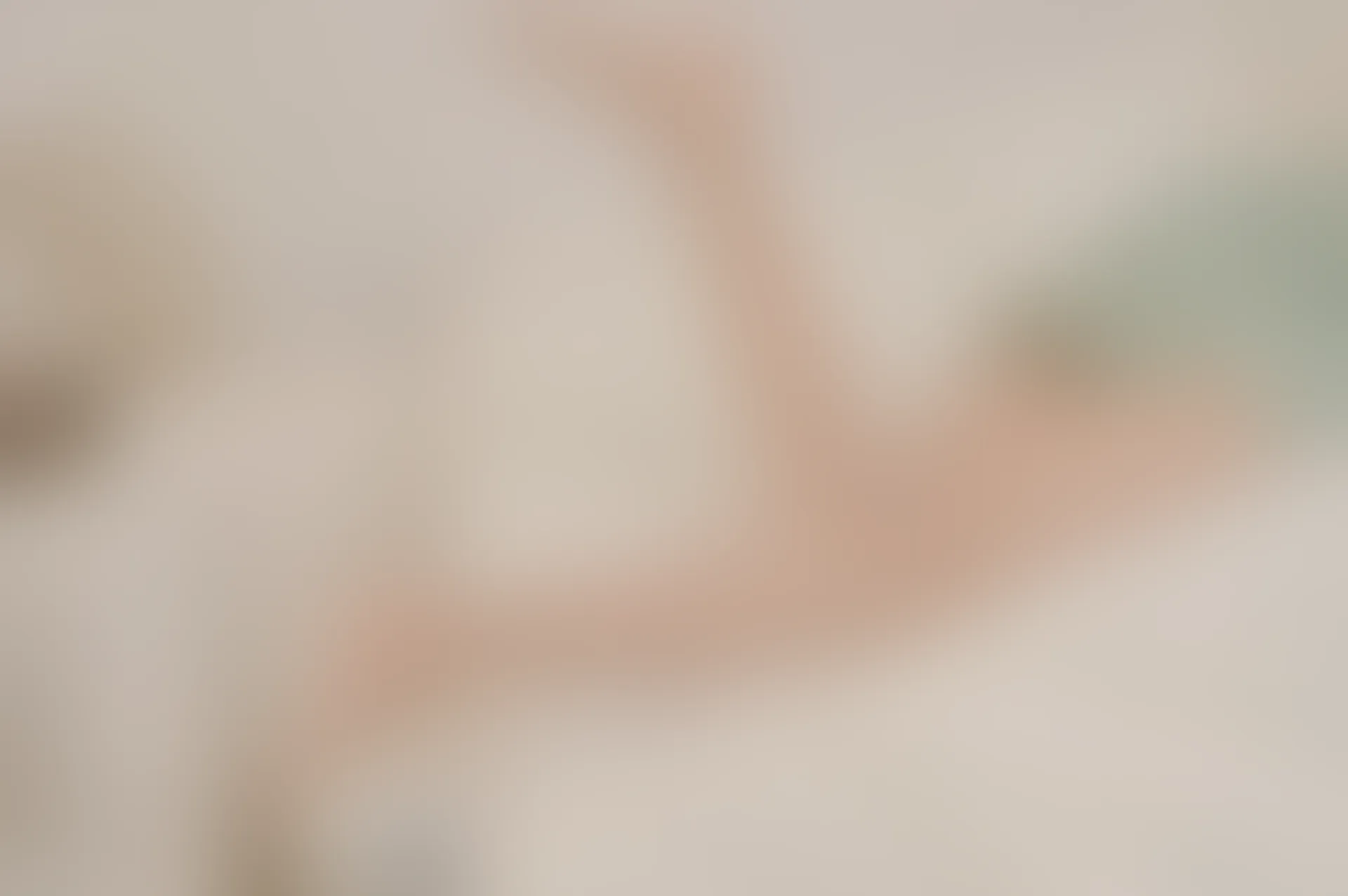 SSA丝社 超清写真 NO.106 丽萍 颠覆你的审美 五指丝袜，送花絮视频[176P-2.01GB]