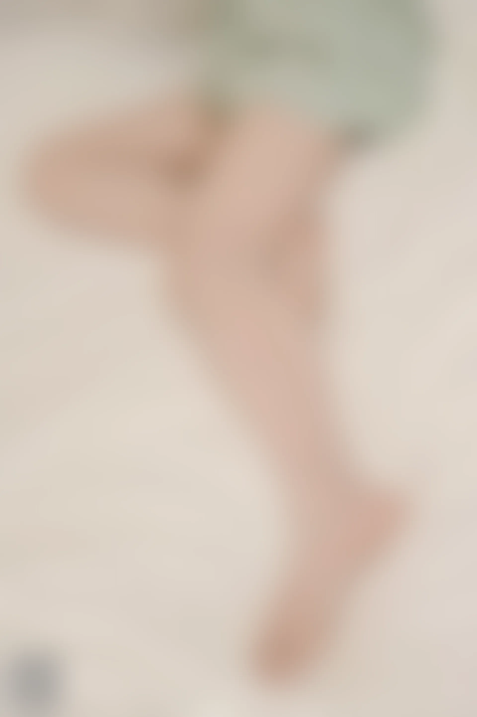 SSA丝社 超清写真 NO.106 丽萍 颠覆你的审美 五指丝袜，送花絮视频[176P-2.01GB]