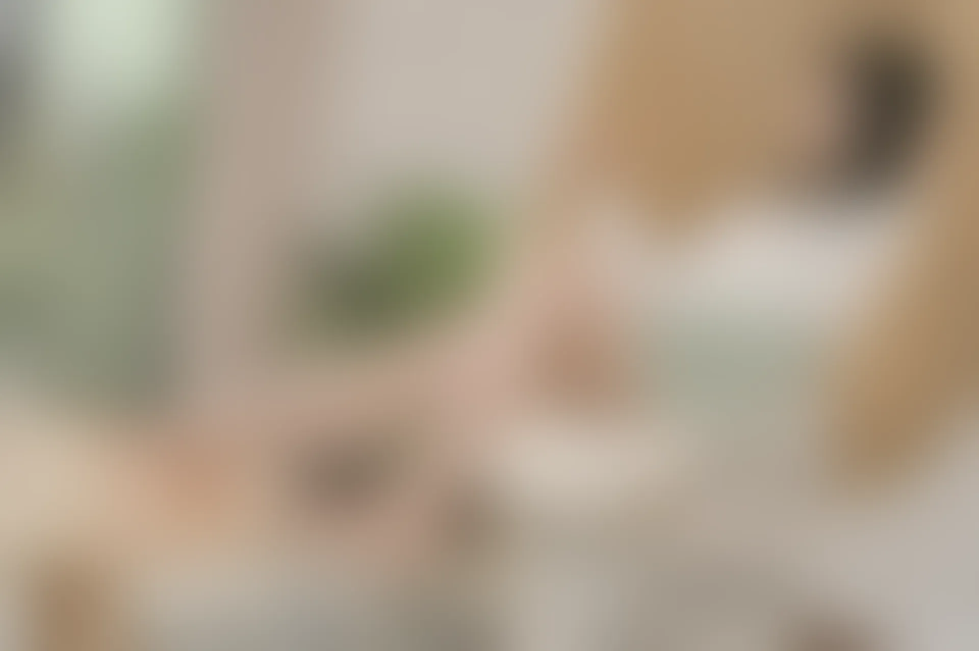SSA丝社 超清写真 NO.106 丽萍 颠覆你的审美 五指丝袜，送花絮视频[176P-2.01GB]