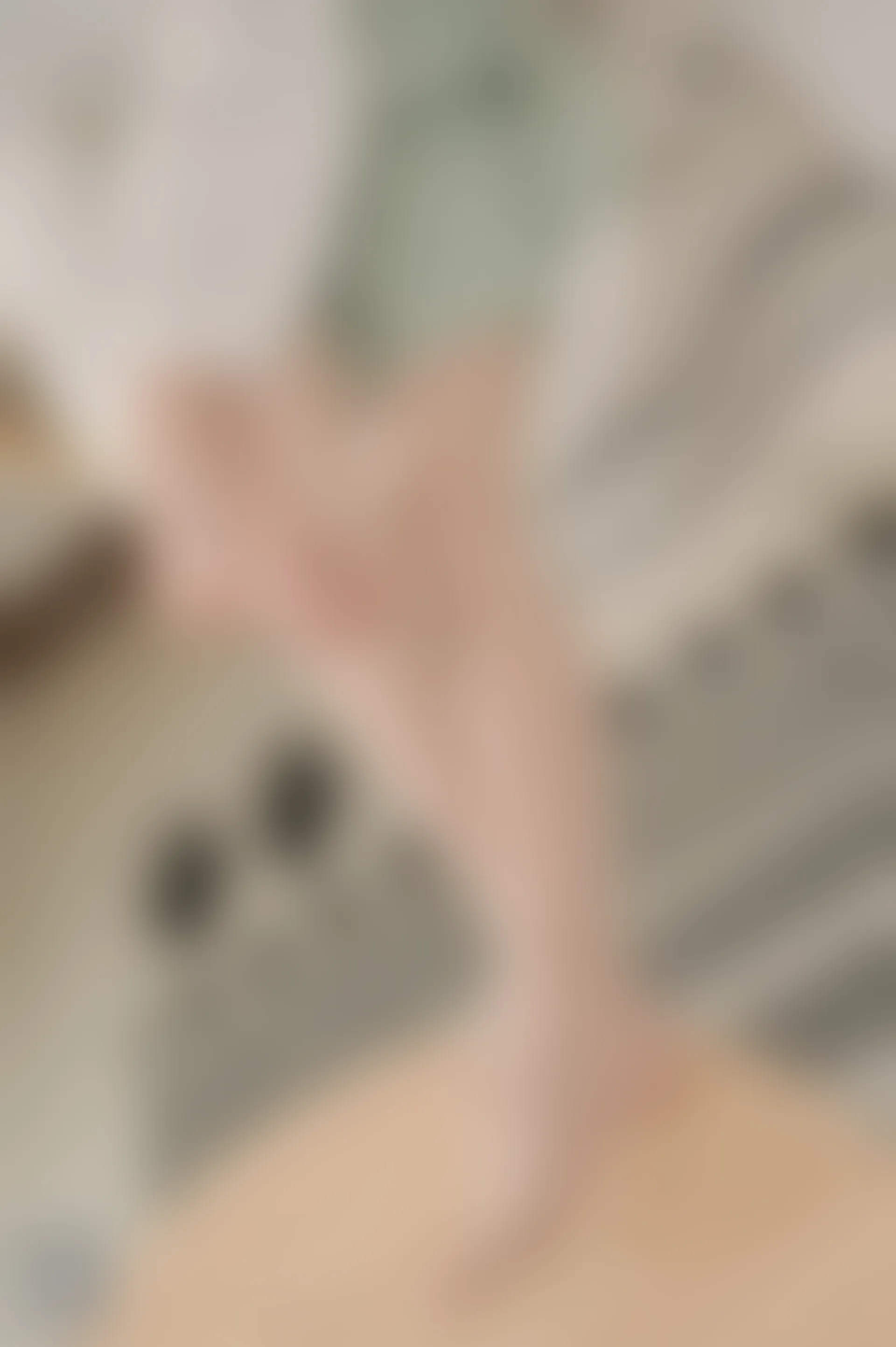 SSA丝社 超清写真 NO.106 丽萍 颠覆你的审美 五指丝袜，送花絮视频[176P-2.01GB]