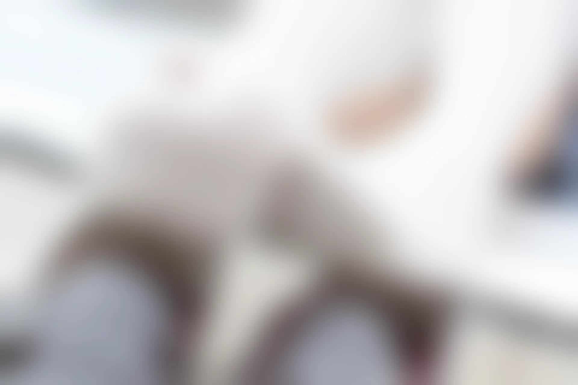 森萝财团 R15-039 [88P-772M]学生装, 森萝财团, 白丝, 美腿