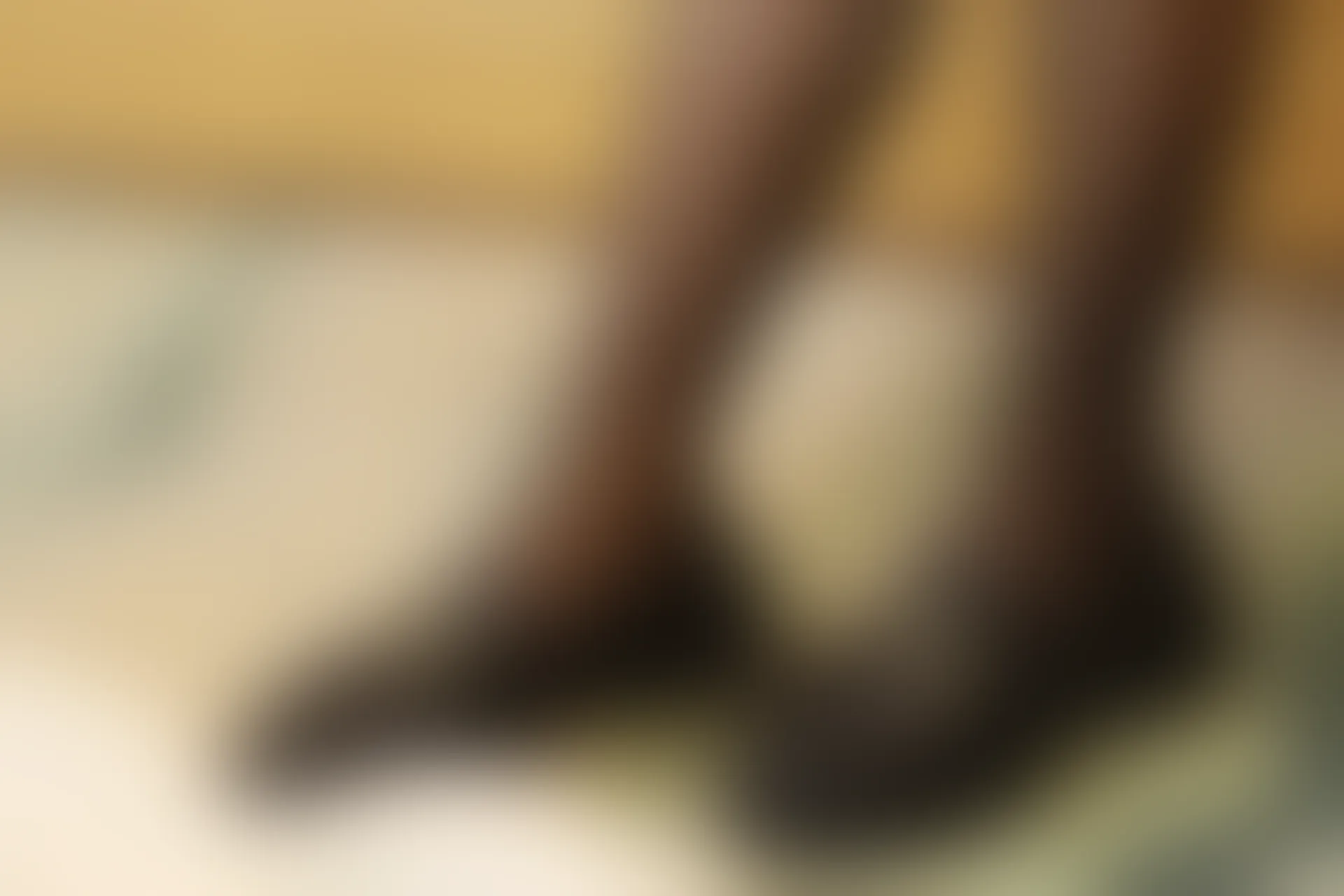 初夏女神 NO.007 水吉 咖啡JK四件套搭配小黑皮鞋[85P+1V／3.33GB]