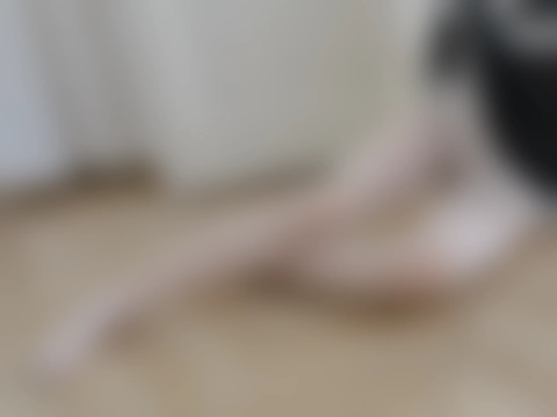 森萝财团 朝露-01E 4K 白丝女仆睡衣 [126P2V-7.85GB]