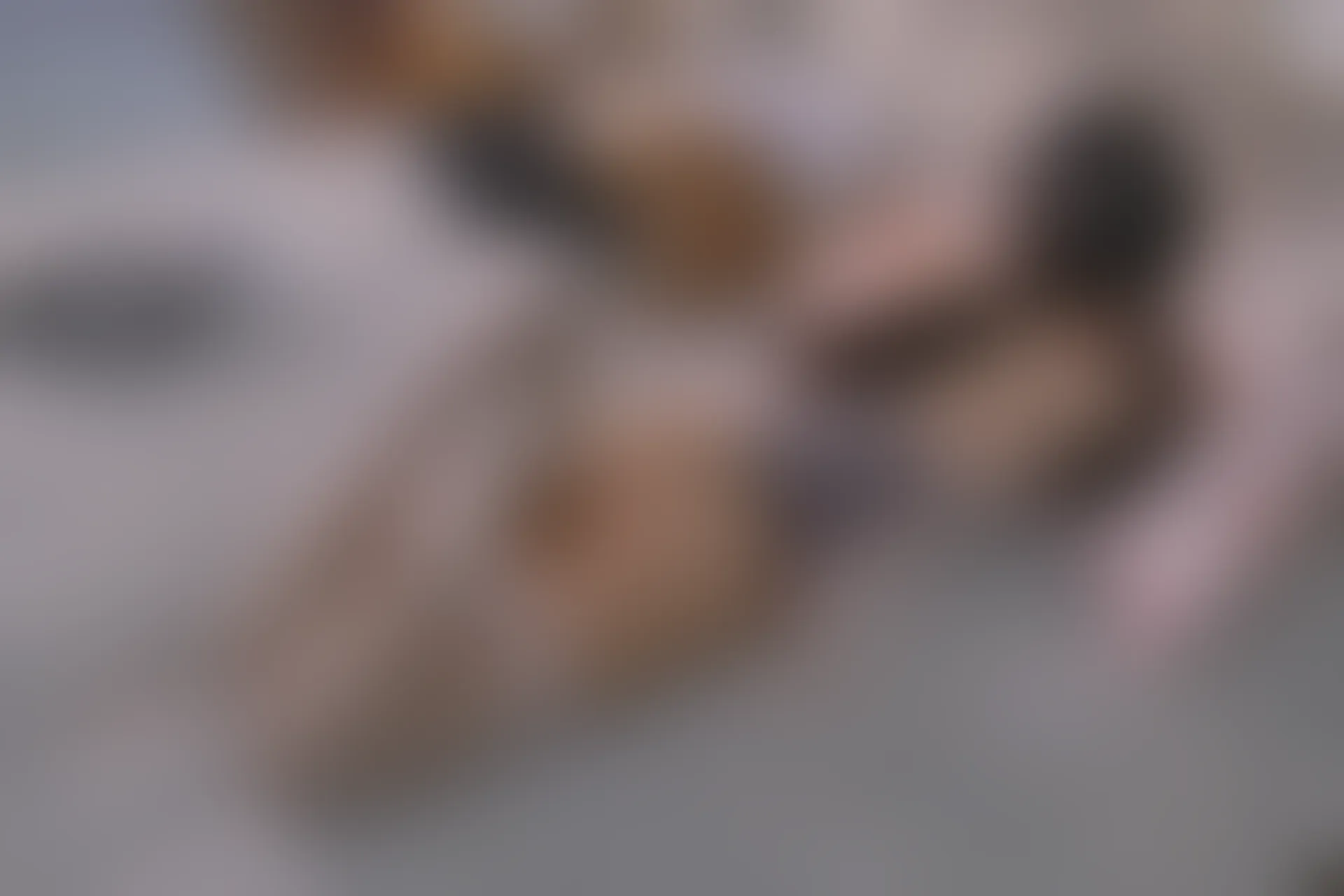 森萝财团 内部VIP系列 雏菊-06 白丝+肉丝 双马尾 [125P1V-5.2GB]