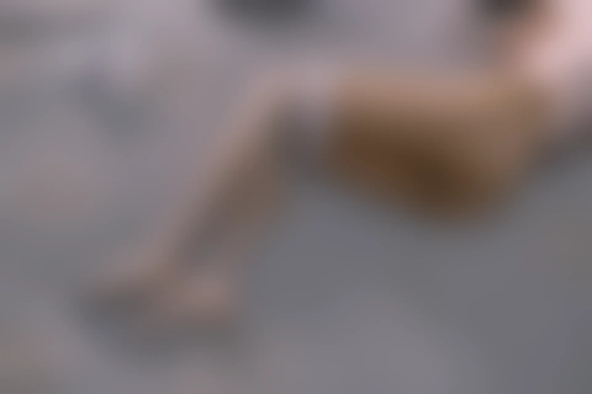 森萝财团 内部VIP系列 雏菊-06 白丝+肉丝 双马尾 [125P1V-5.2GB]