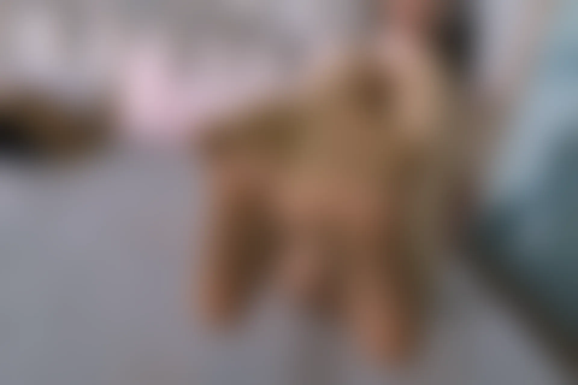 森萝财团 内部VIP系列 雏菊-06 白丝+肉丝 双马尾 [125P1V-5.2GB]