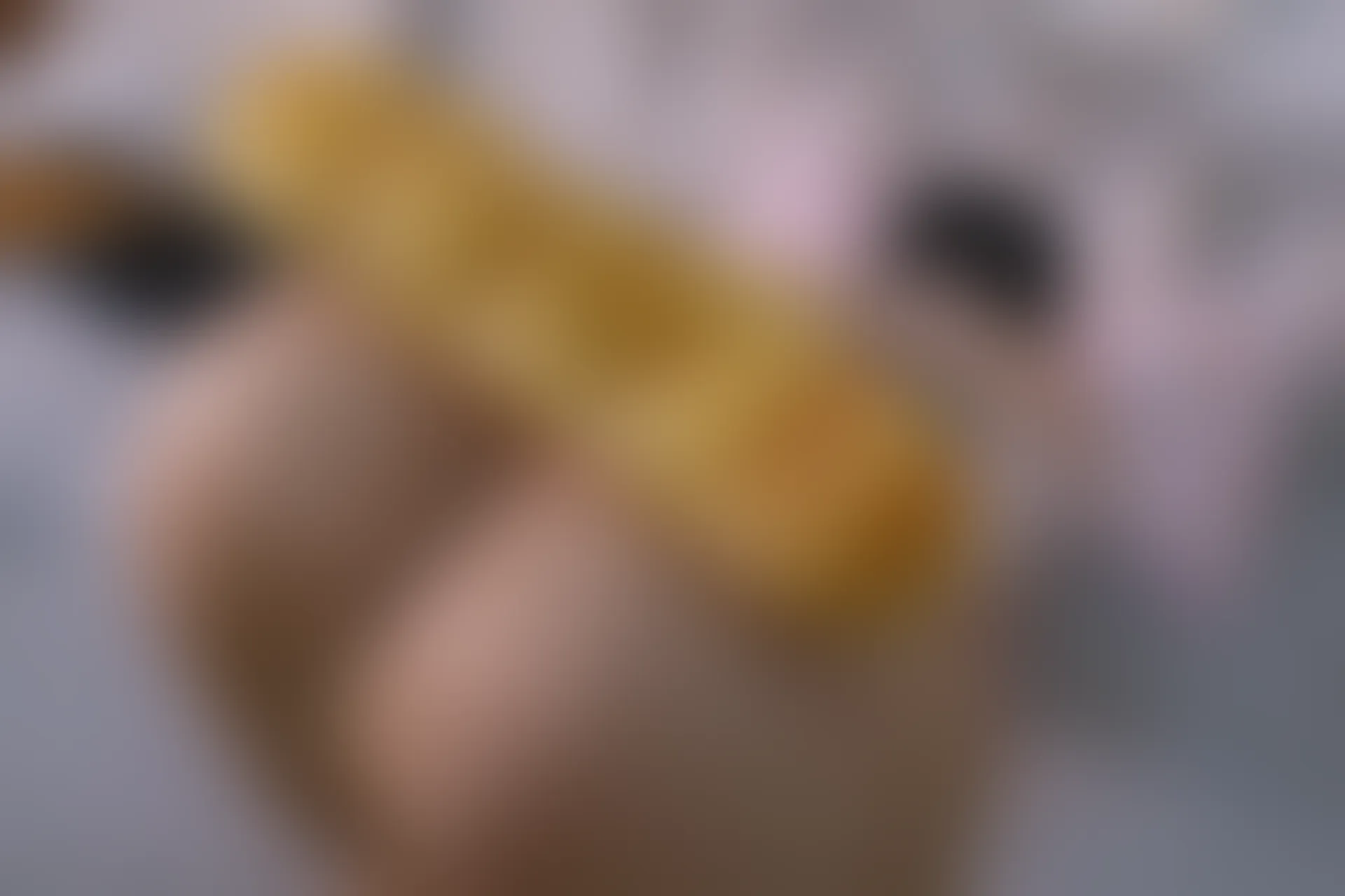 森萝财团 内部VIP系列 雏菊-06 白丝+肉丝 双马尾 [125P1V-5.2GB]