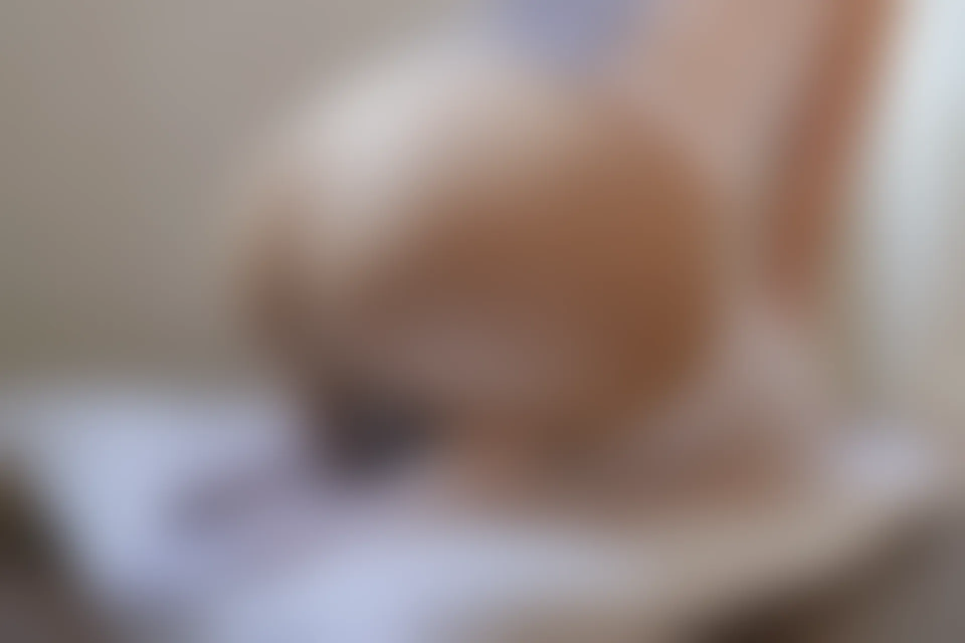 森萝财团 内部VIP系列 雏菊-06 白丝+肉丝 双马尾 [125P1V-5.2GB]