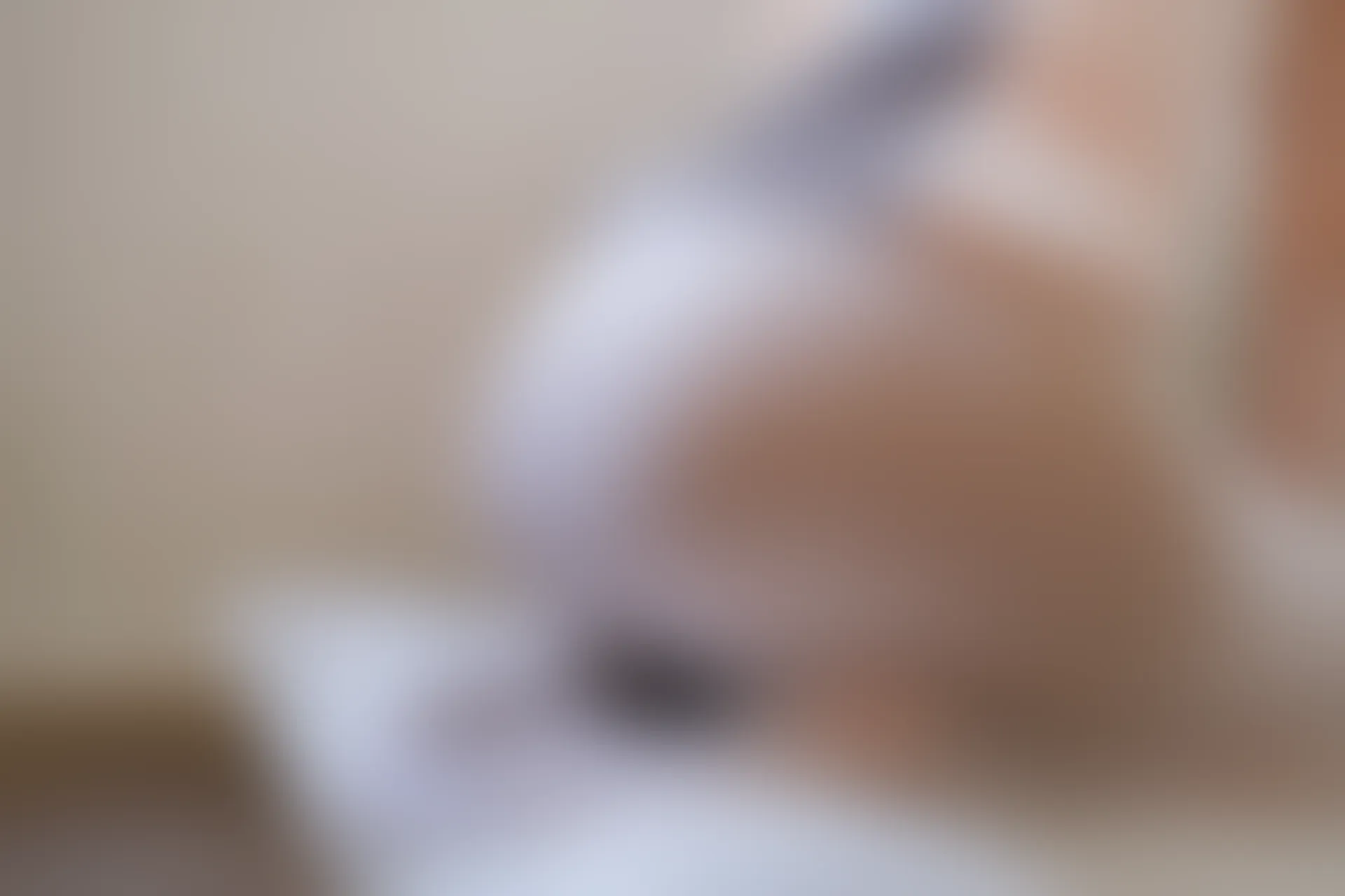 森萝财团 内部VIP系列 雏菊-06 白丝+肉丝 双马尾 [125P1V-5.2GB]