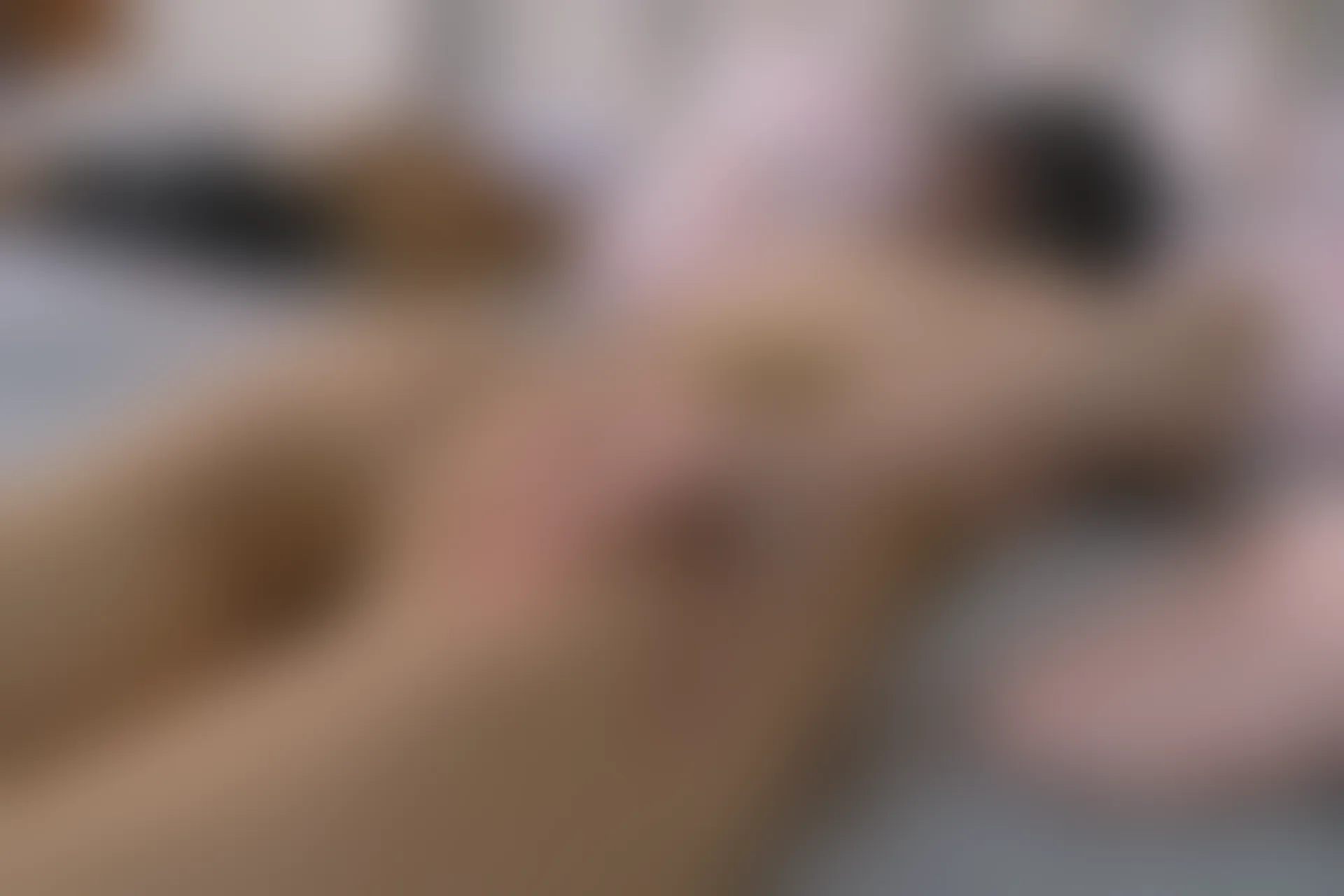 森萝财团 内部VIP系列 雏菊-06 白丝+肉丝 双马尾 [125P1V-5.2GB]