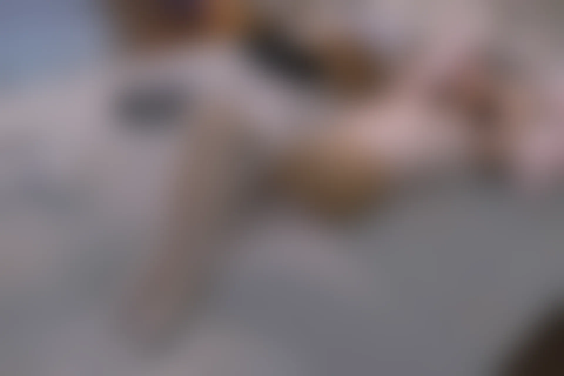 森萝财团 内部VIP系列 雏菊-06 白丝+肉丝 双马尾 [125P1V-5.2GB]
