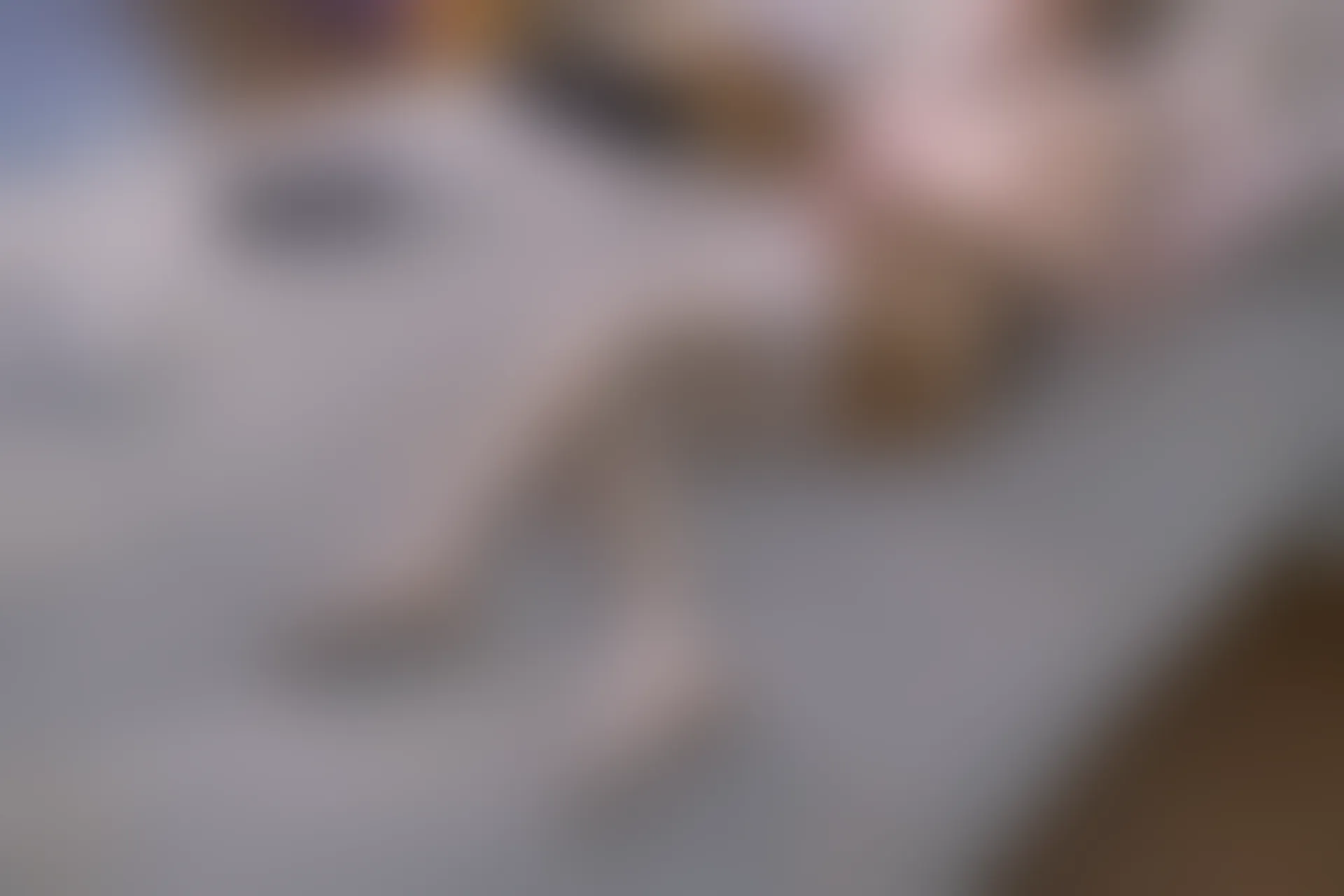 森萝财团 内部VIP系列 雏菊-06 白丝+肉丝 双马尾 [125P1V-5.2GB]