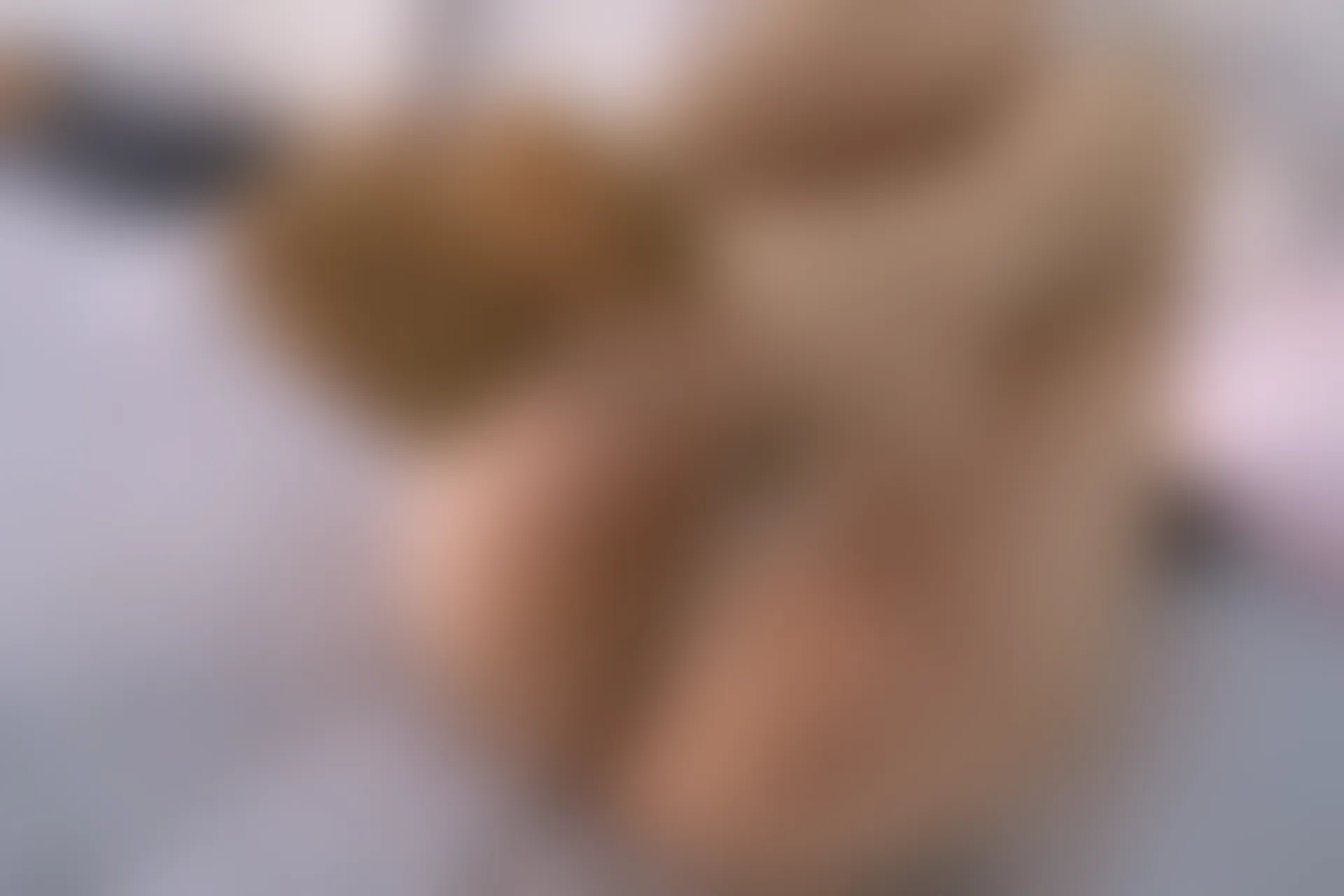 森萝财团 内部VIP系列 雏菊-06 白丝+肉丝 双马尾 [125P1V-5.2GB]