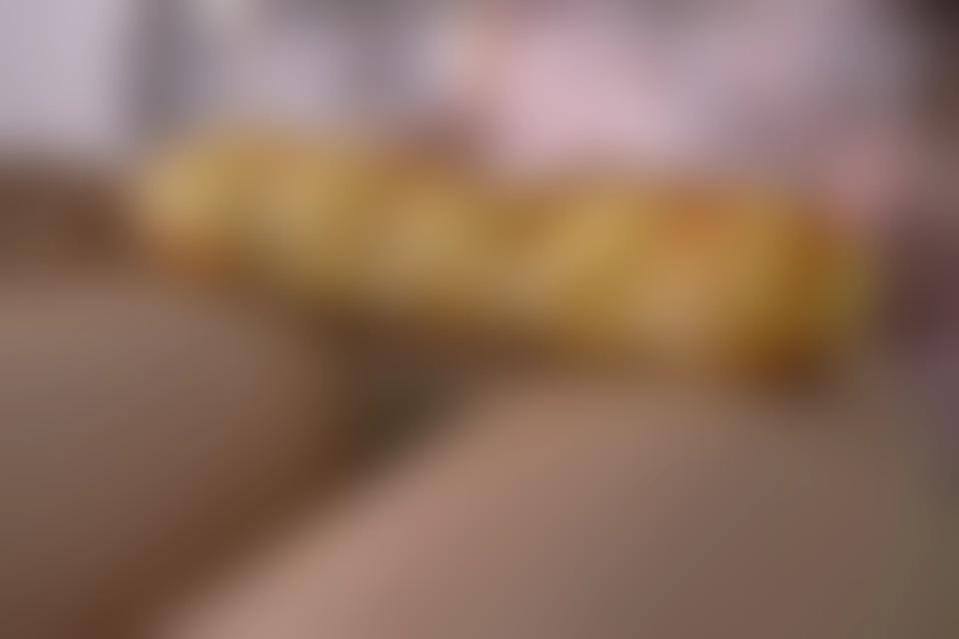 森萝财团 内部VIP系列 雏菊-06 白丝+肉丝 双马尾 [125P1V-5.2GB]