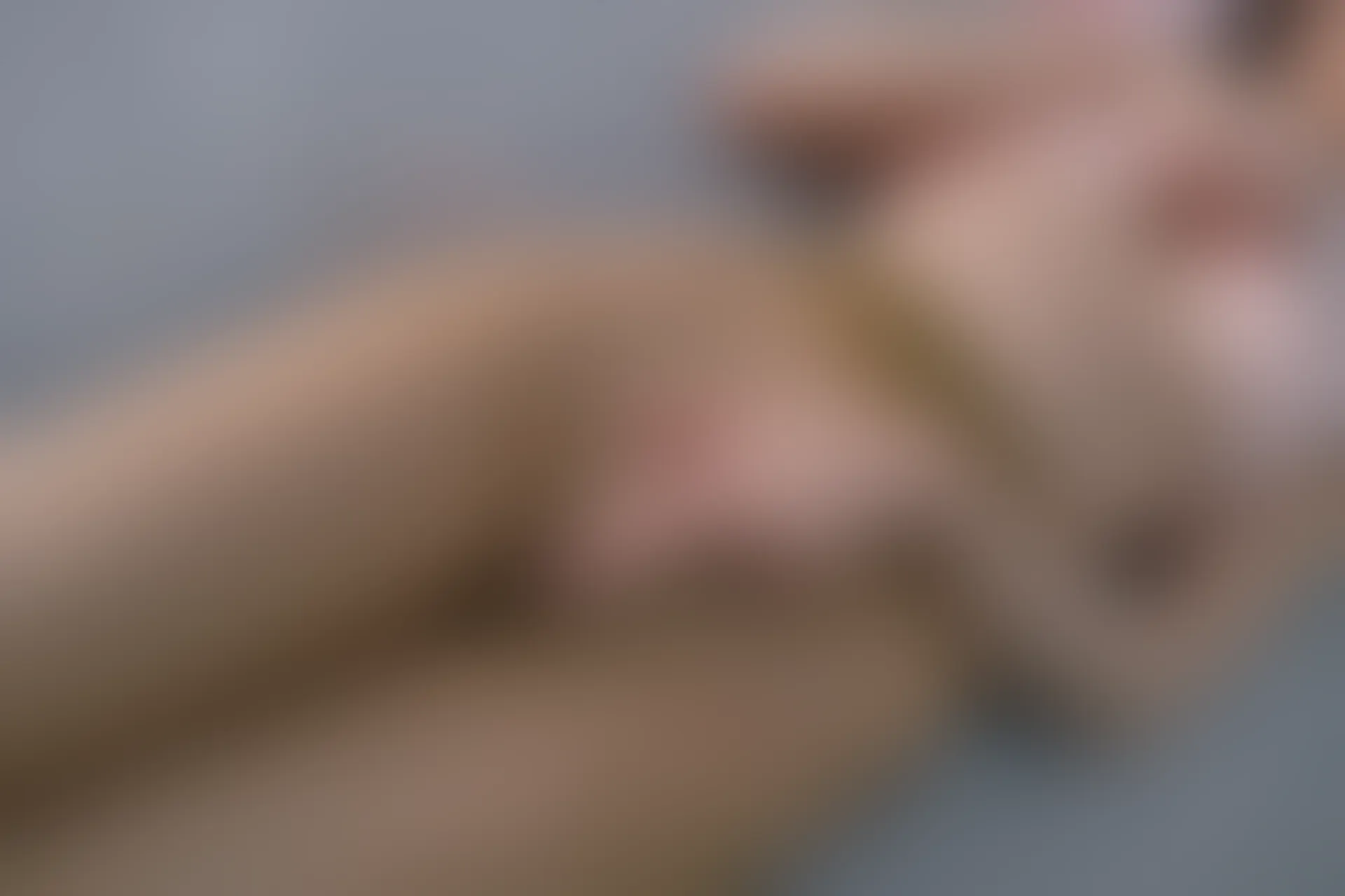 森萝财团 内部VIP系列 雏菊-06 白丝+肉丝 双马尾 [125P1V-5.2GB]